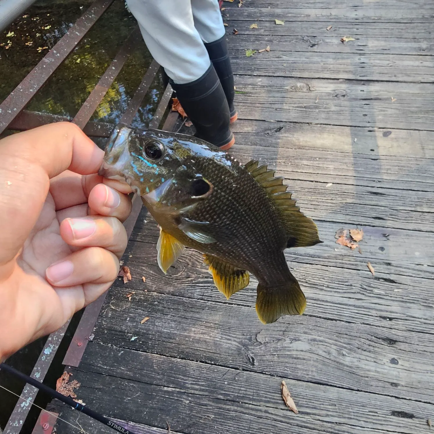 catch