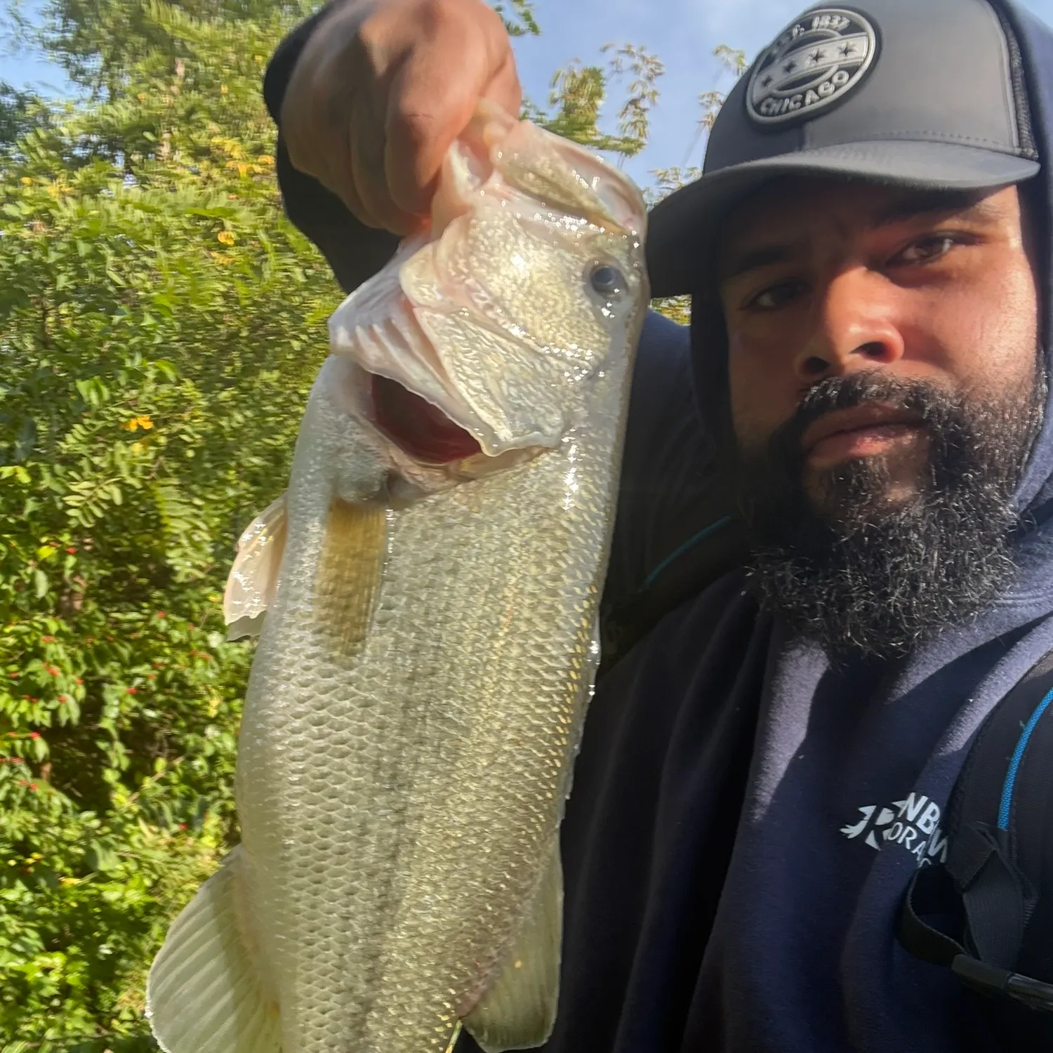 Largemouth bass caught on Fishbrain