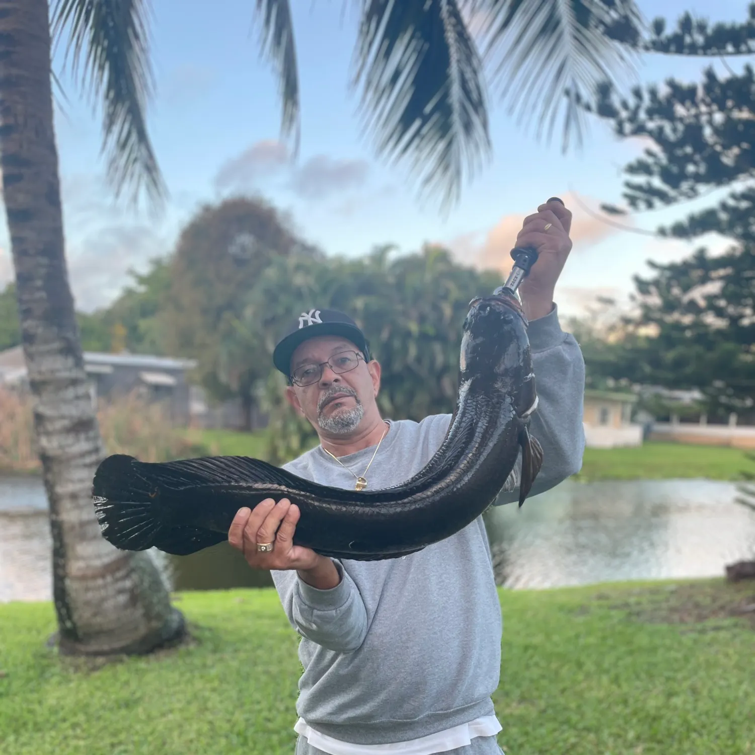 The most recent Bullseye snakehead catches on Fishbrain