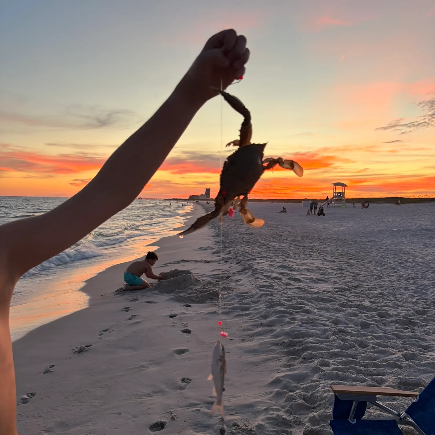 Fish caught on Fishbrain