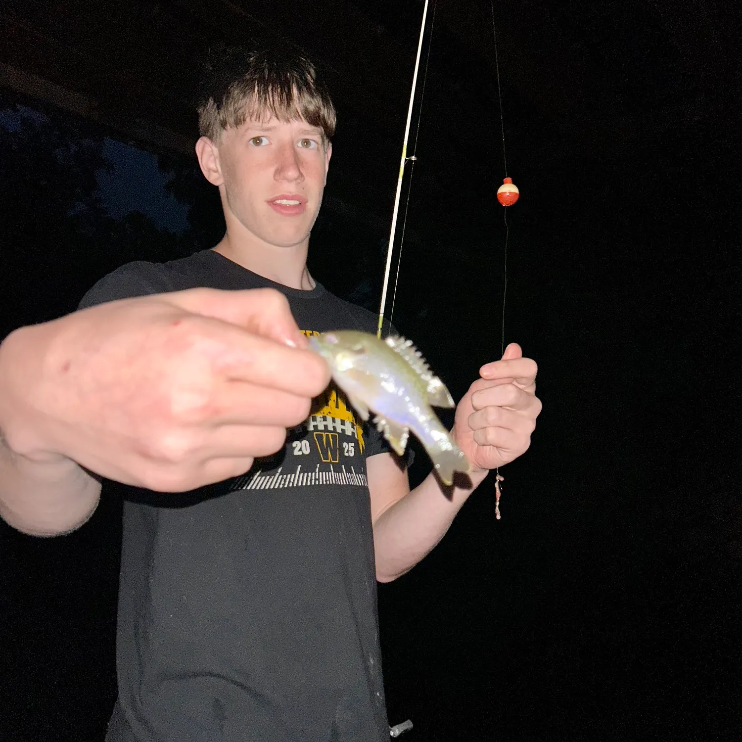 Green sunfish caught on Fishbrain