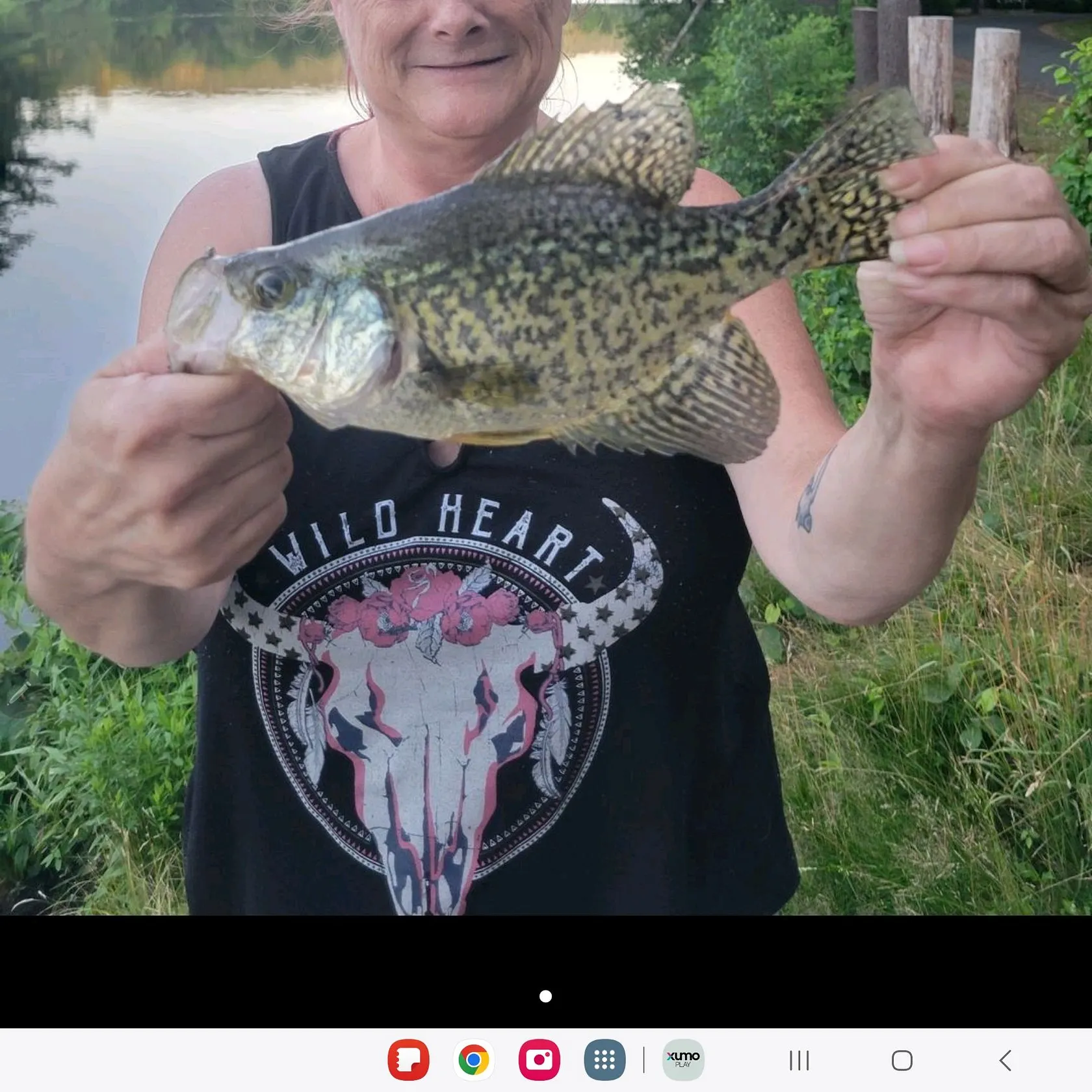 recently logged catches