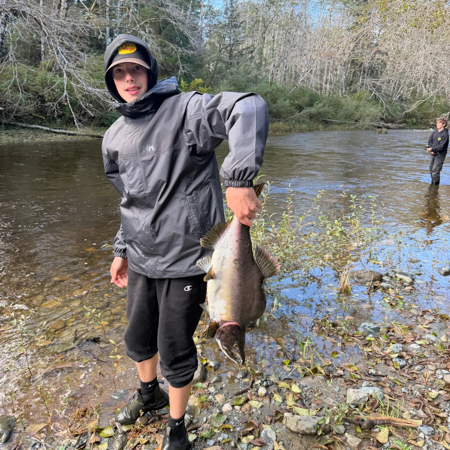 Pink salmon caught on Fishbrain