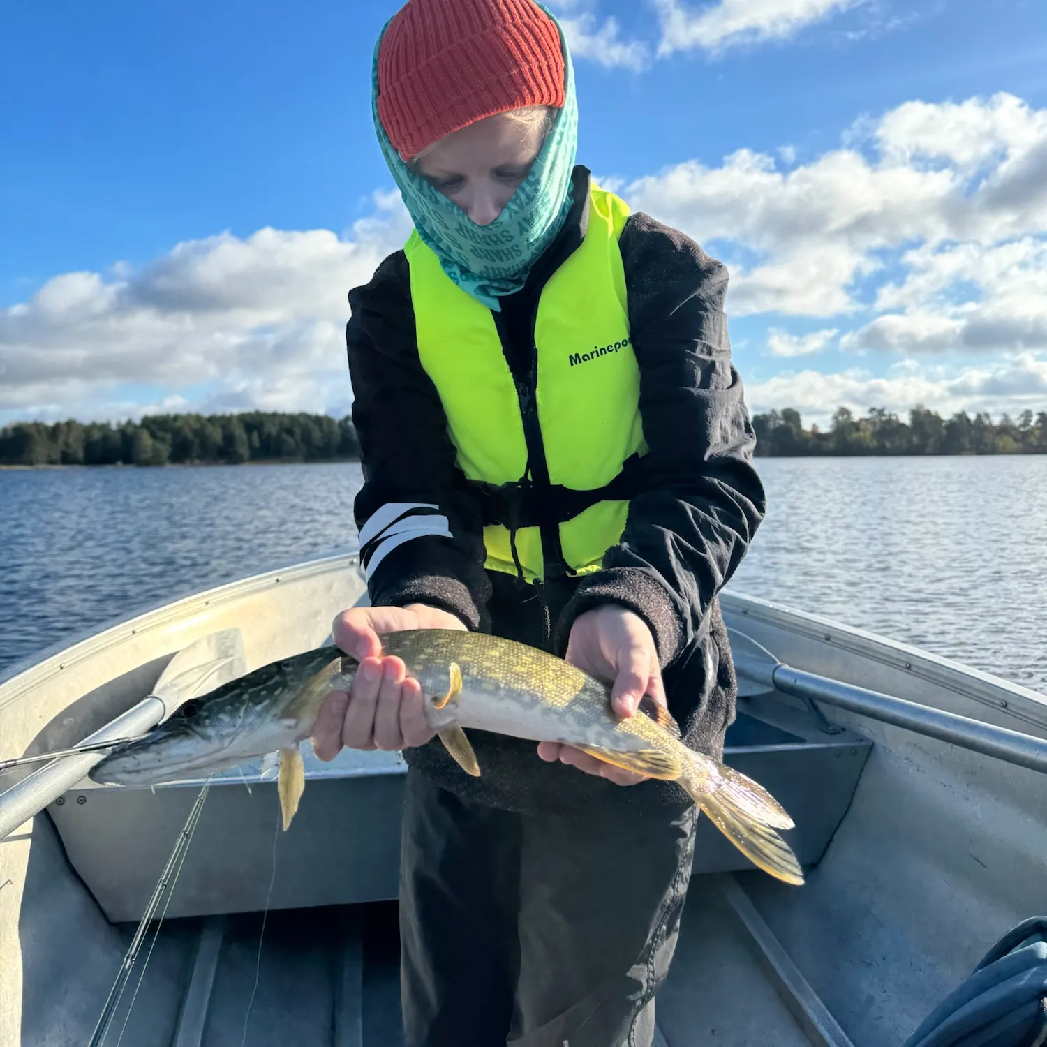 Northern pike caught on Fishbrain