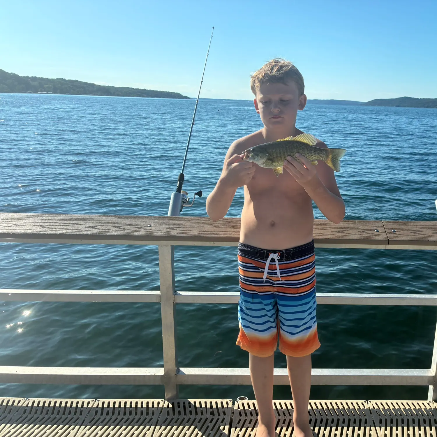 The most recent Smallmouth bass catches on Fishbrain