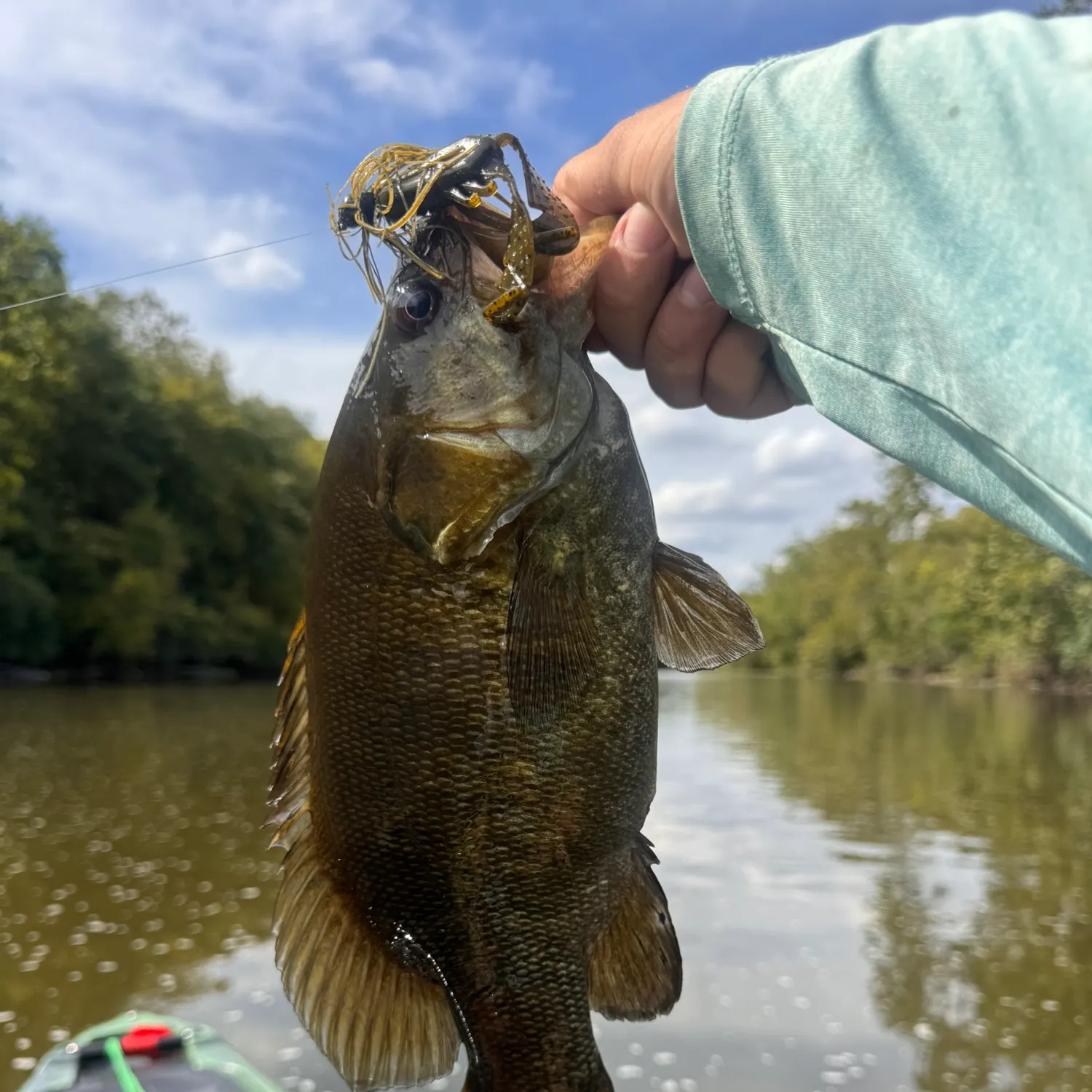 Smallmouth bass caught on Fishbrain