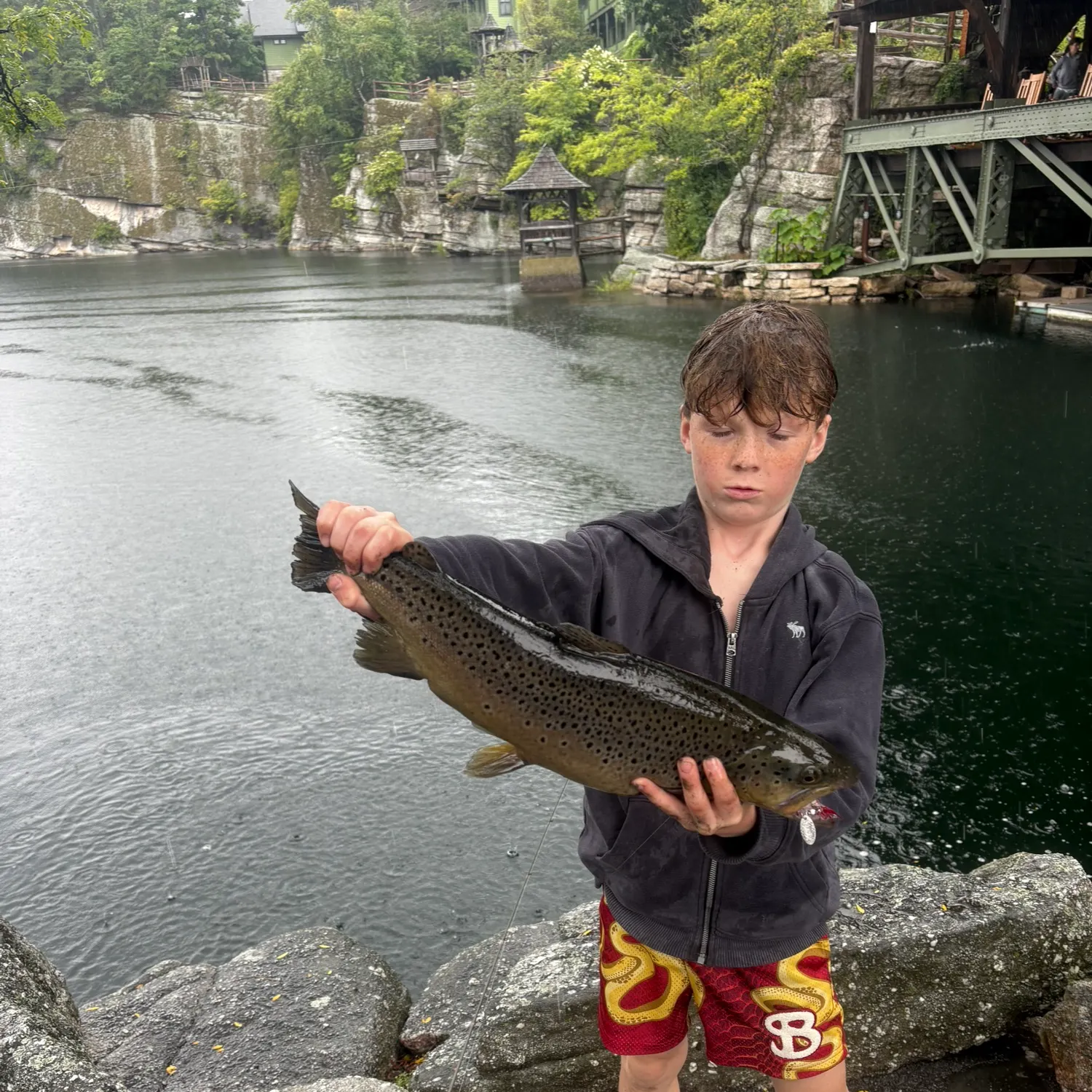 Brown trout caught on Fishbrain