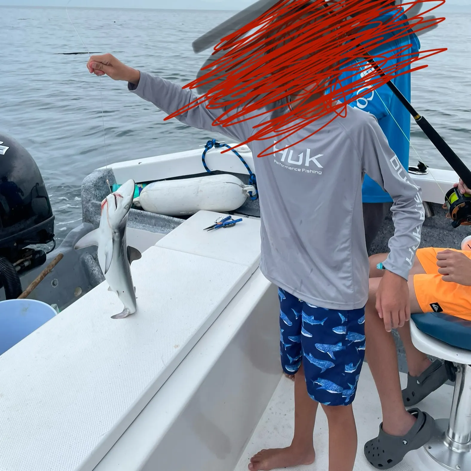 The most recent Atlantic sharpnose shark catches on Fishbrain