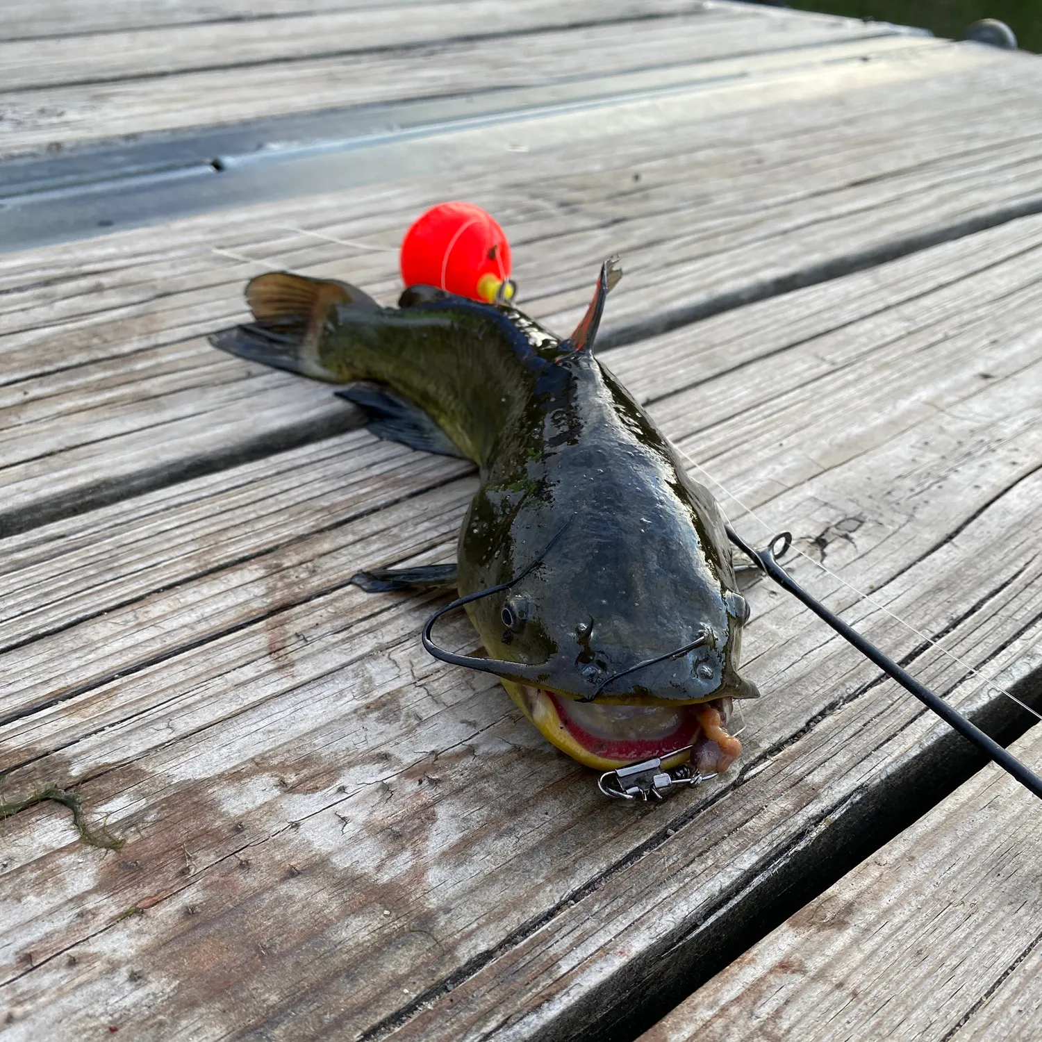catch