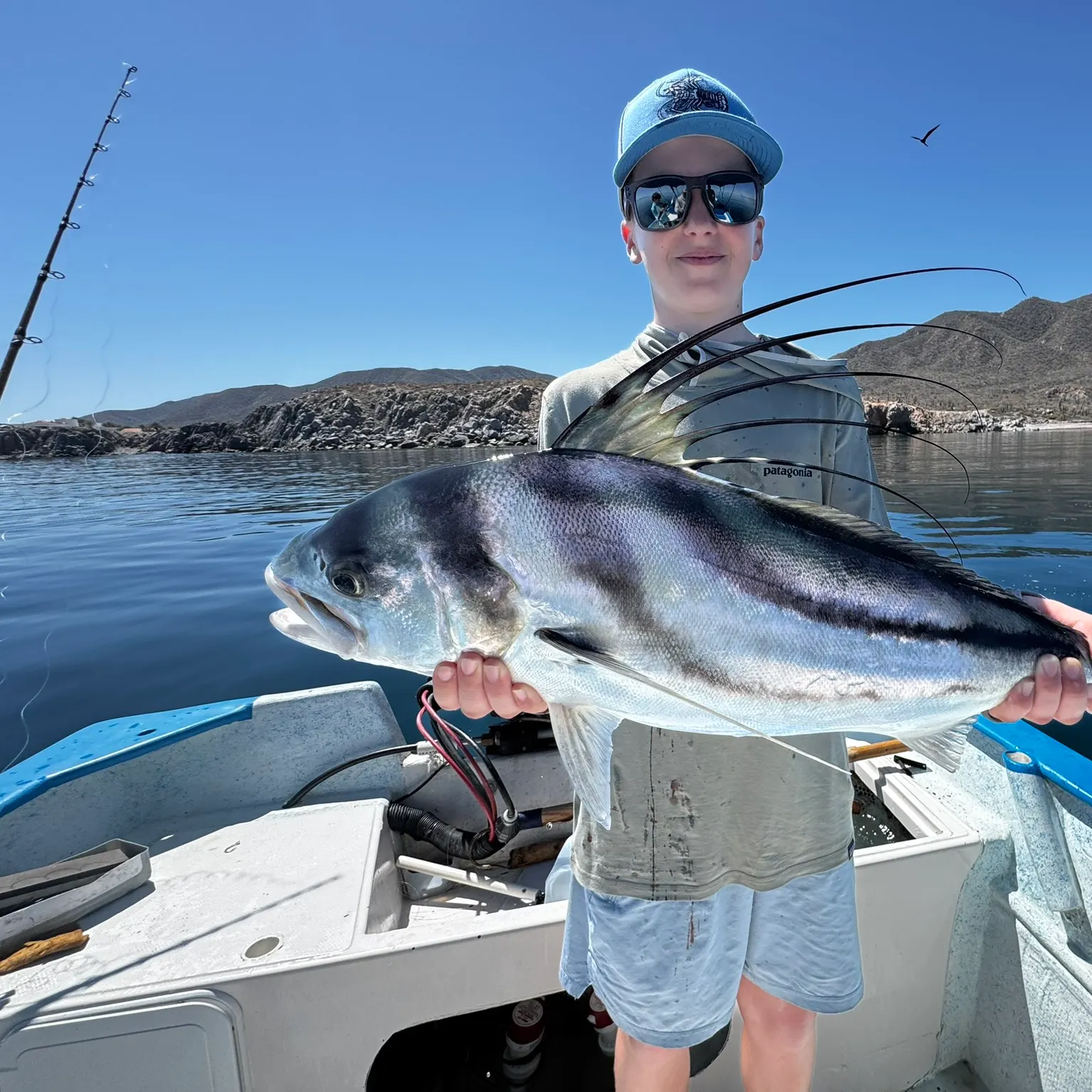The most recent Roosterfish catches on Fishbrain