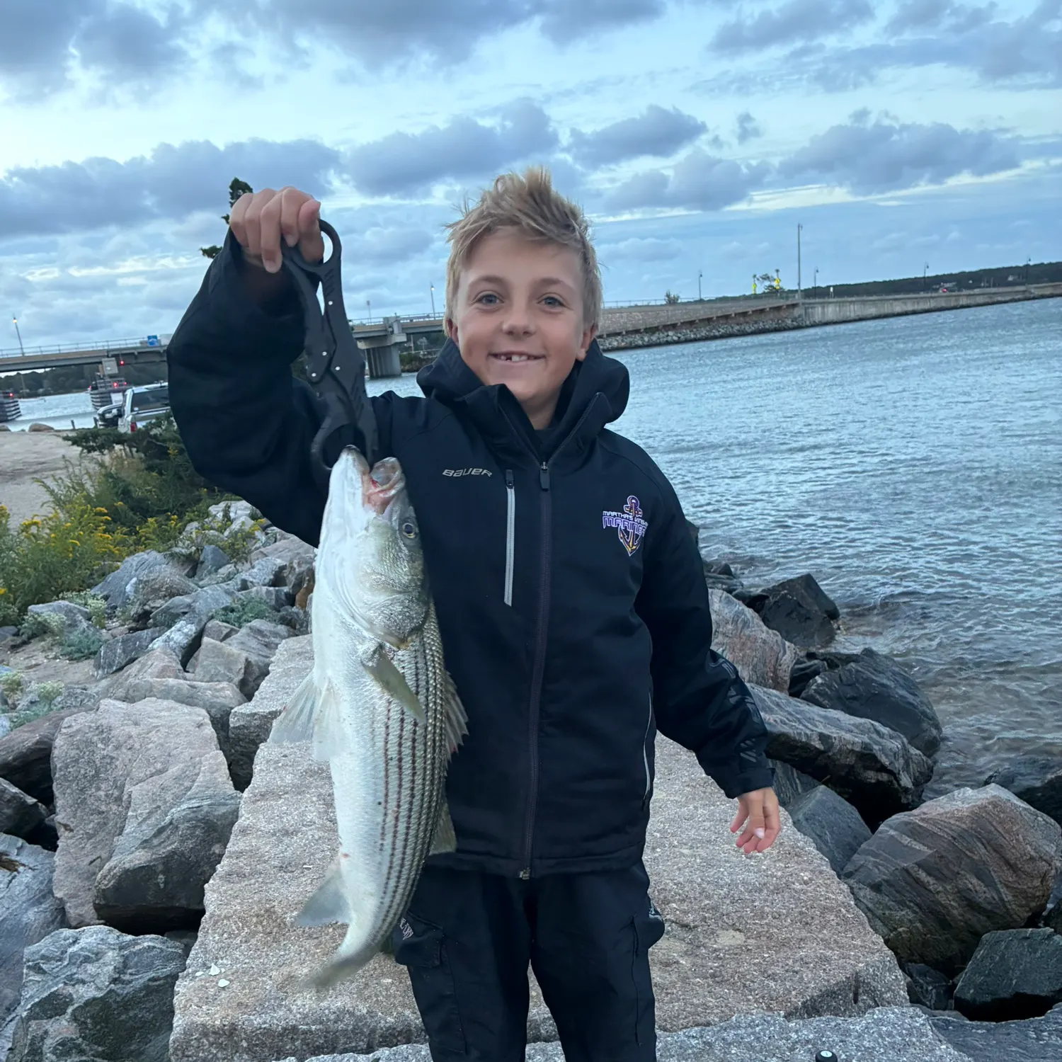 Striped bass caught on Fishbrain