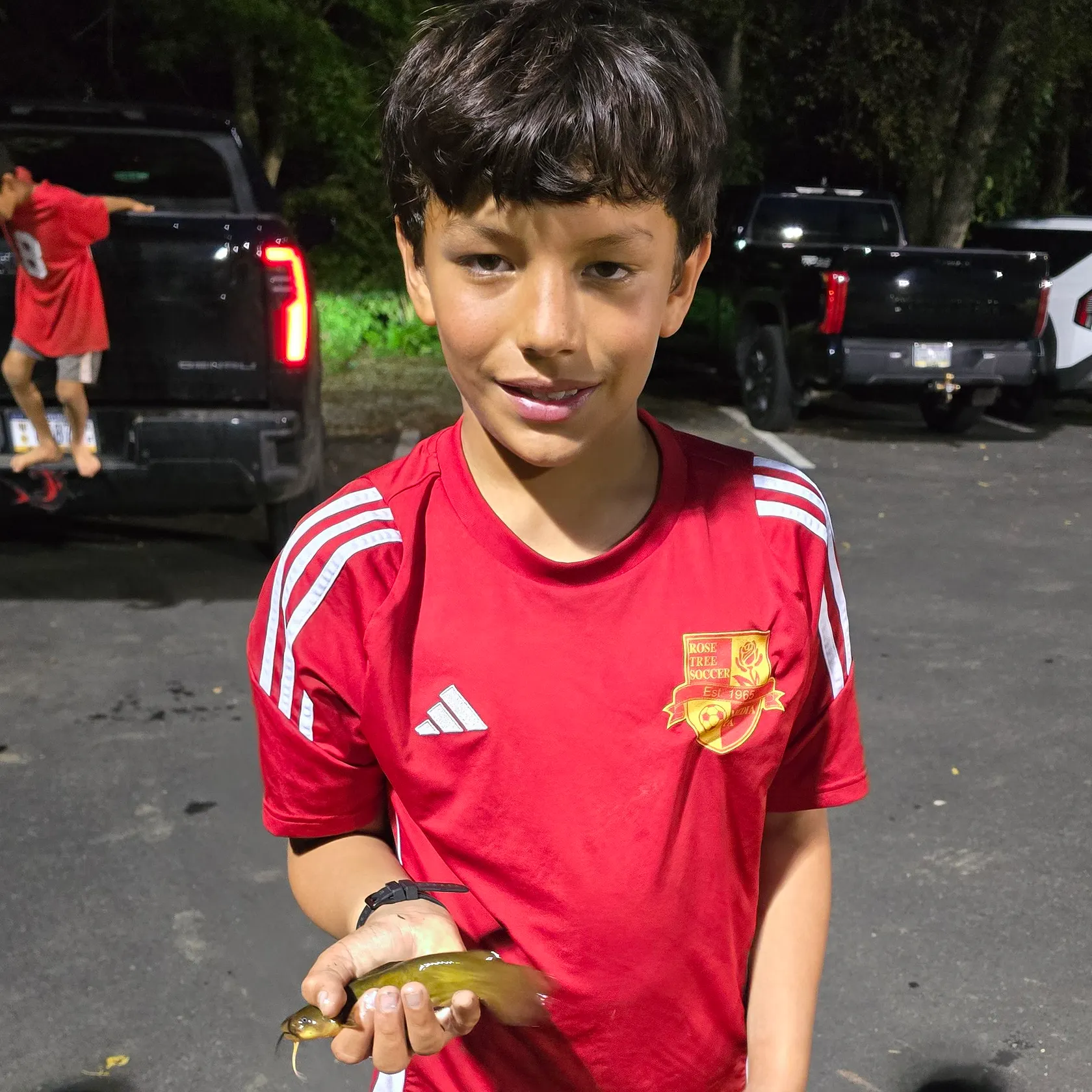 Yellow bullhead caught on Fishbrain