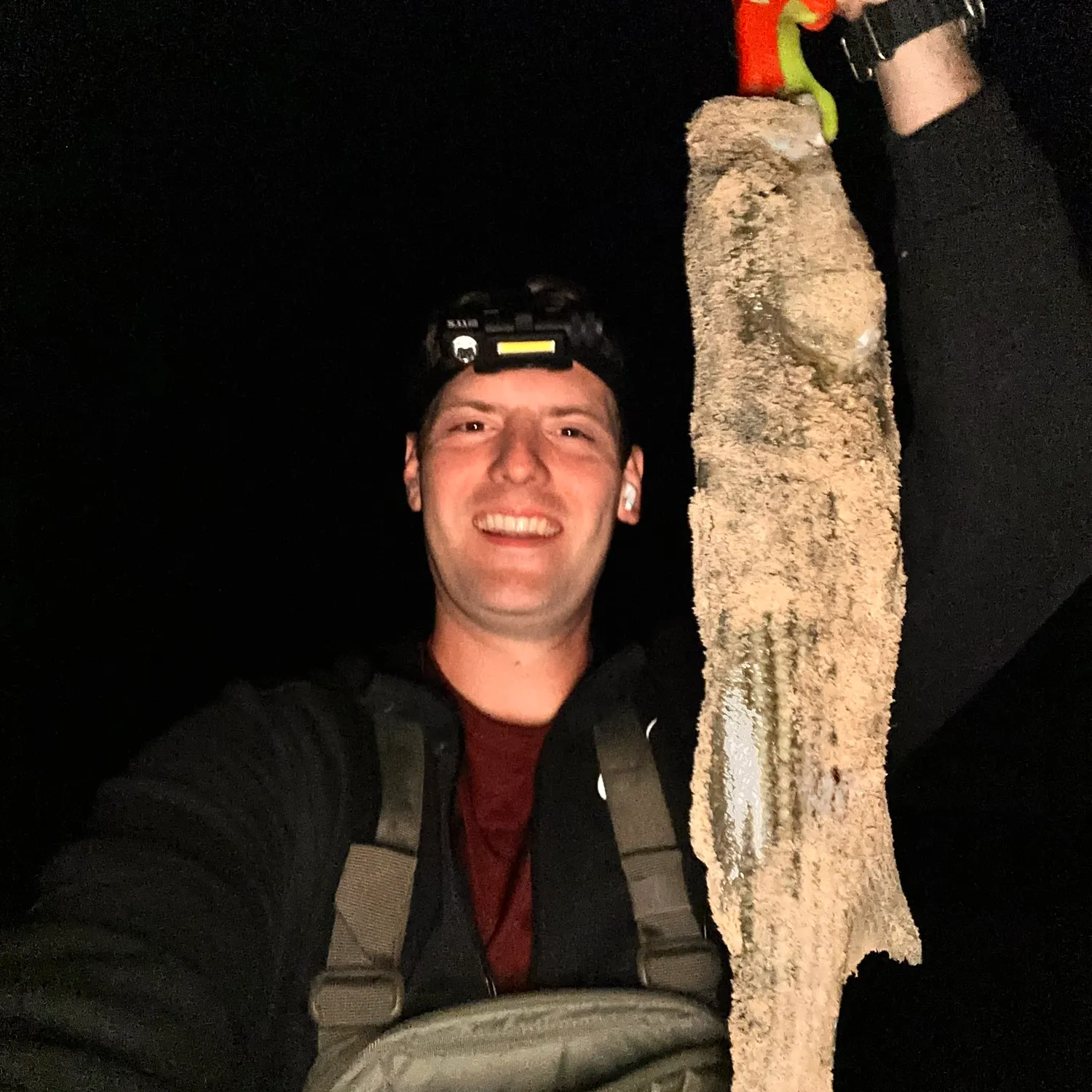 Striped bass caught on Fishbrain