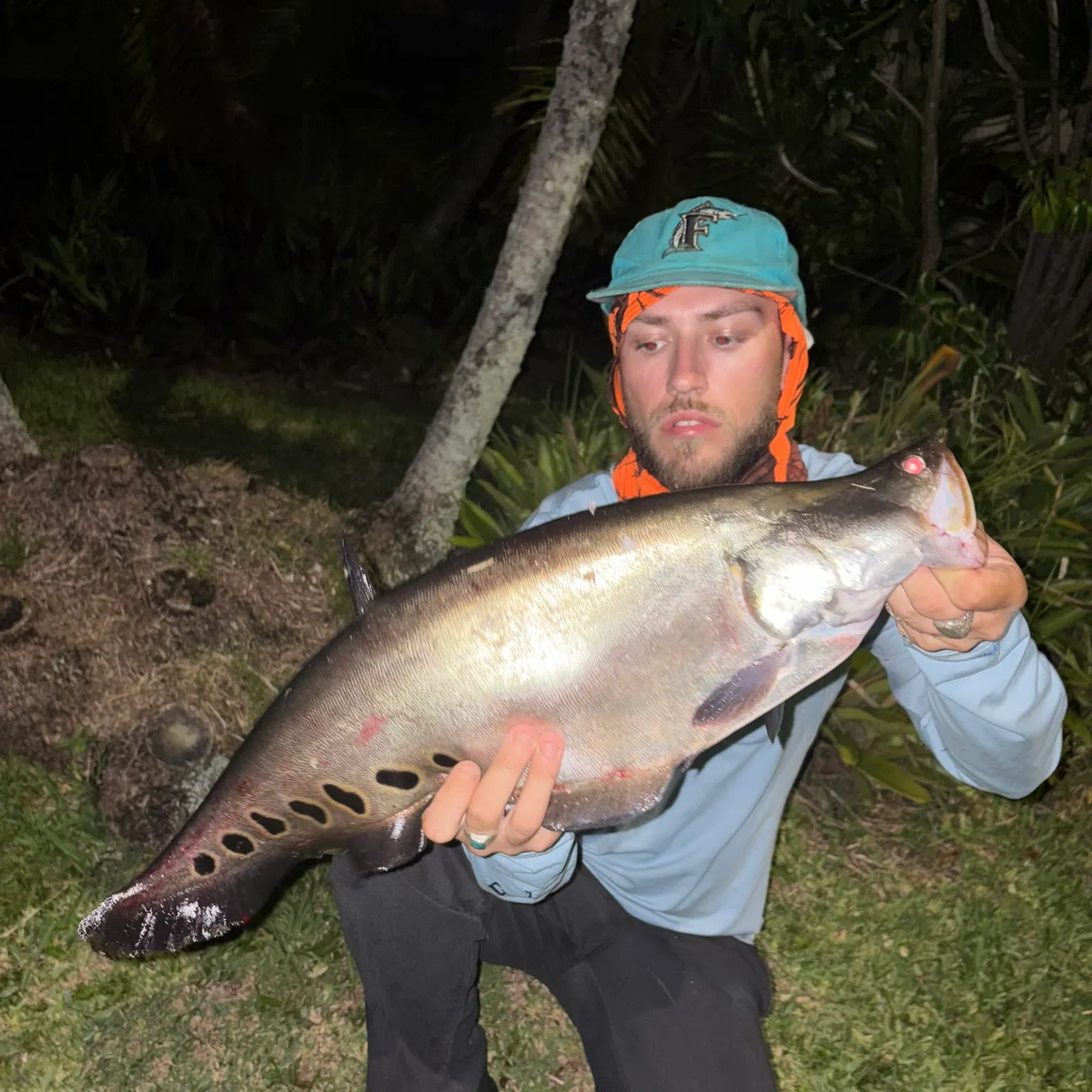 The most recent Clown knifefish catches on Fishbrain
