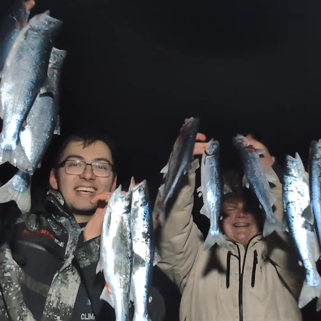 The most recent Coho salmon catches on Fishbrain