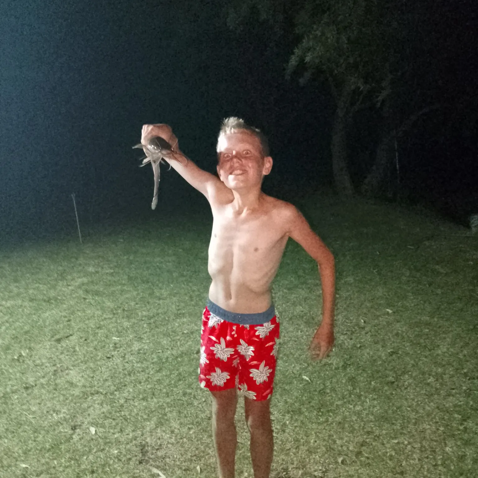 The most recent Blunt-toothed African catfish catches on Fishbrain