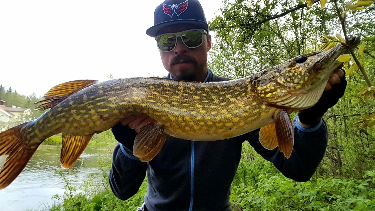 Post image from JPsson