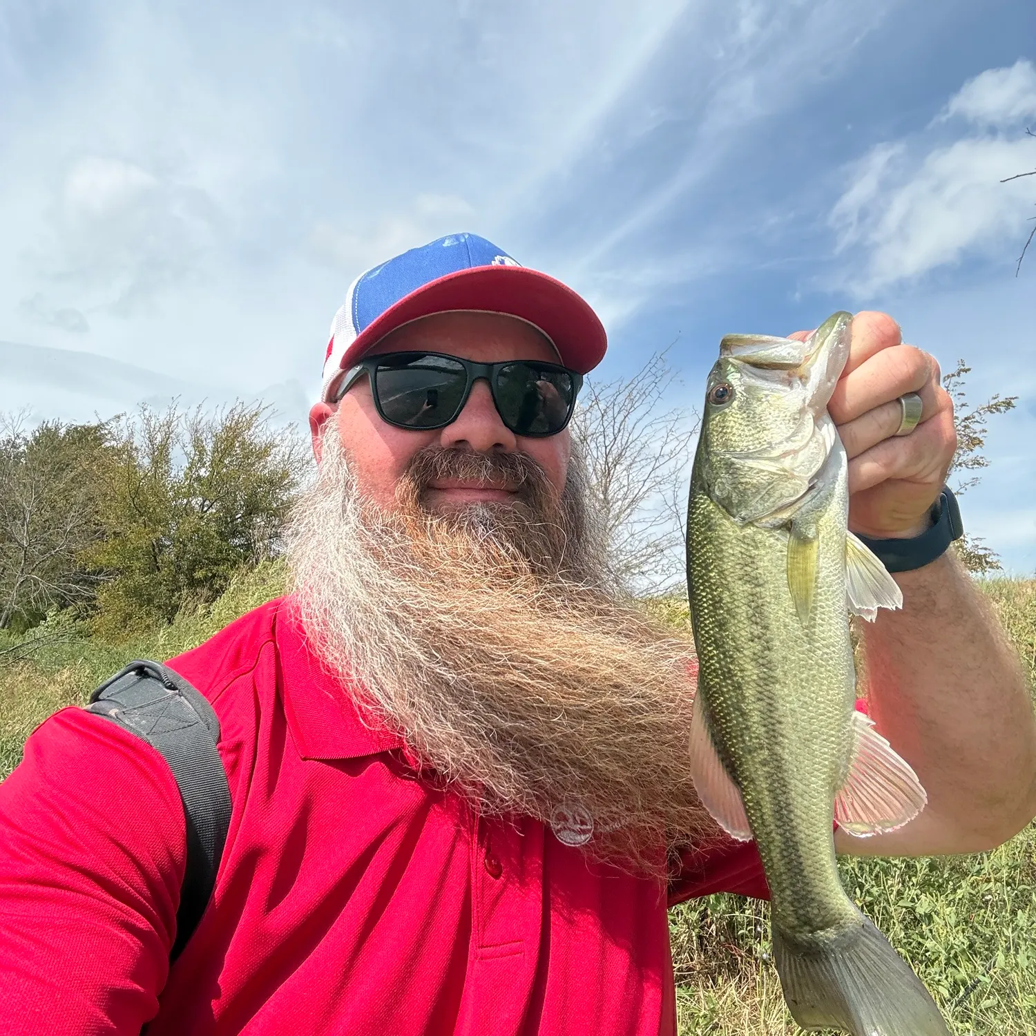 Largemouth bass caught on Fishbrain