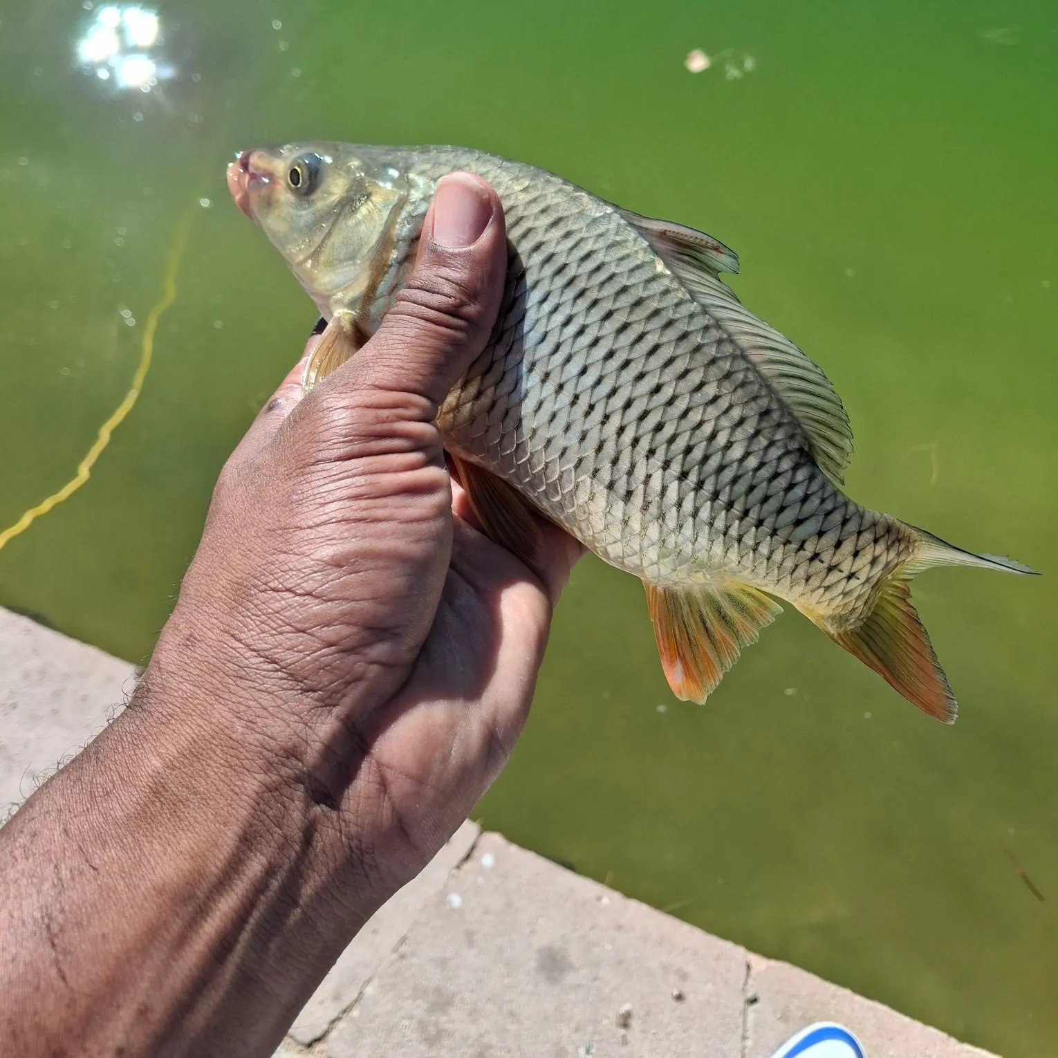 catch