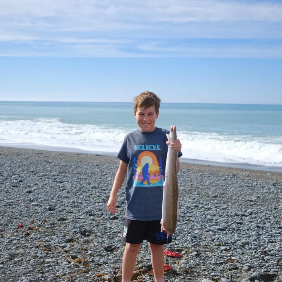 The most recent Gummy shark catches on Fishbrain