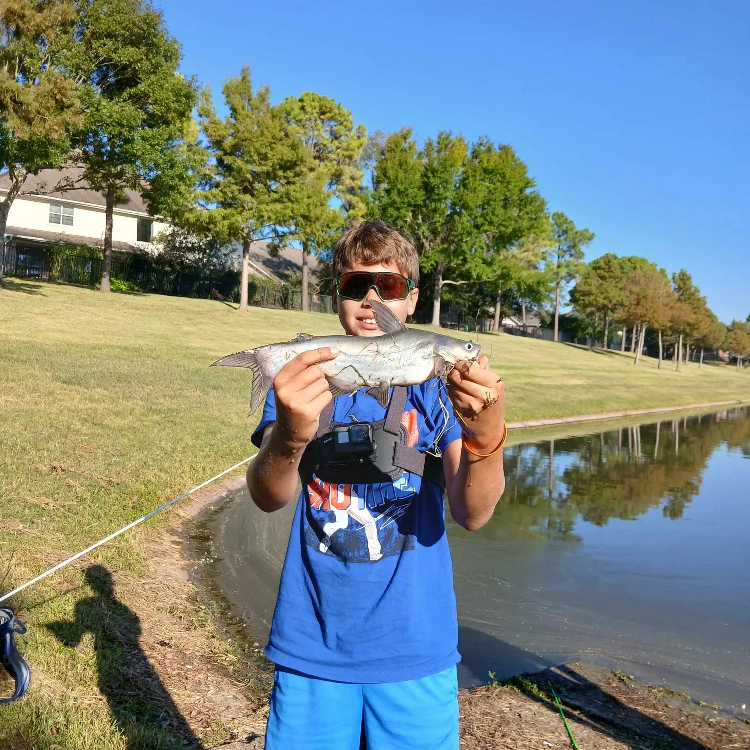 Blue catfish caught on Fishbrain