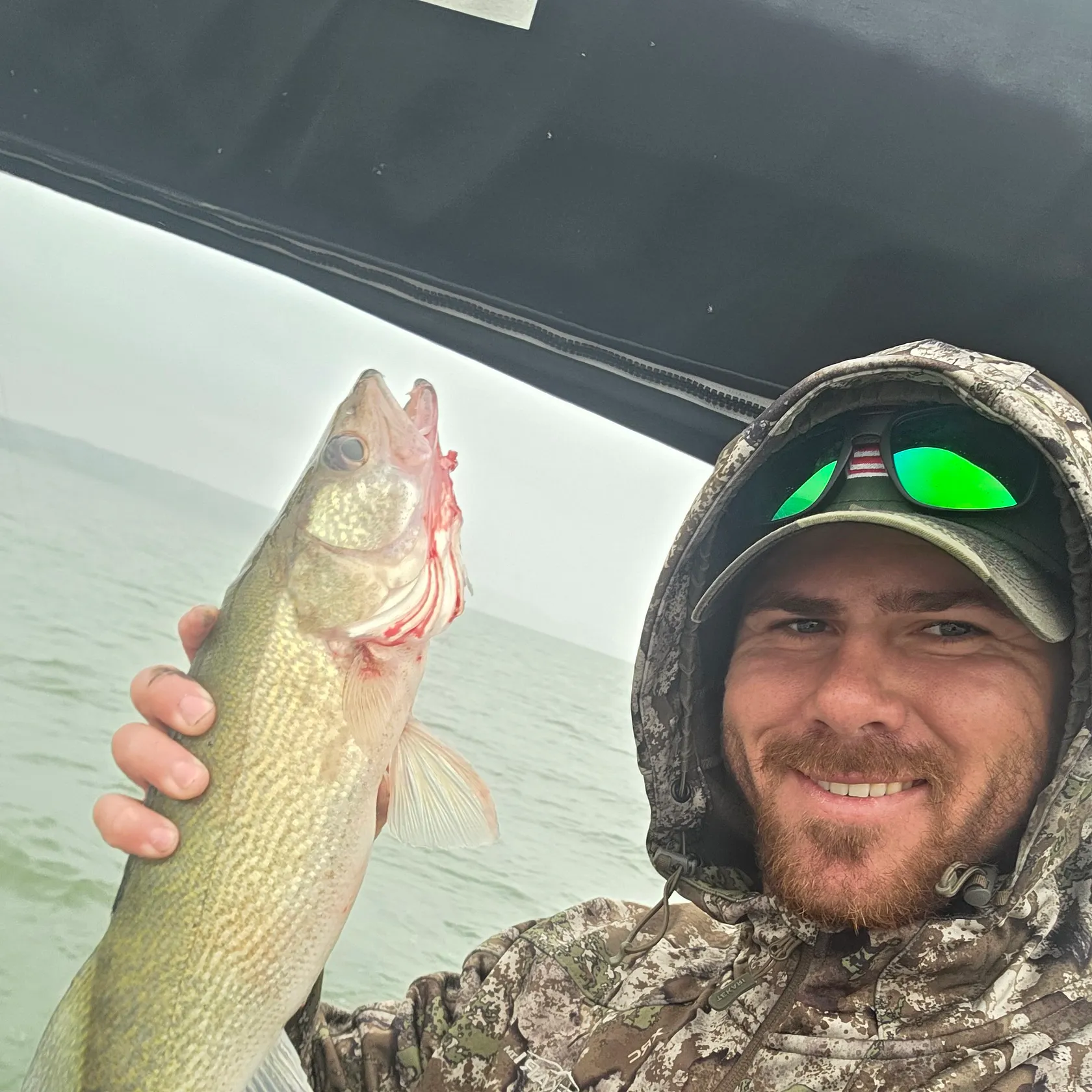 Walleye caught on Fishbrain