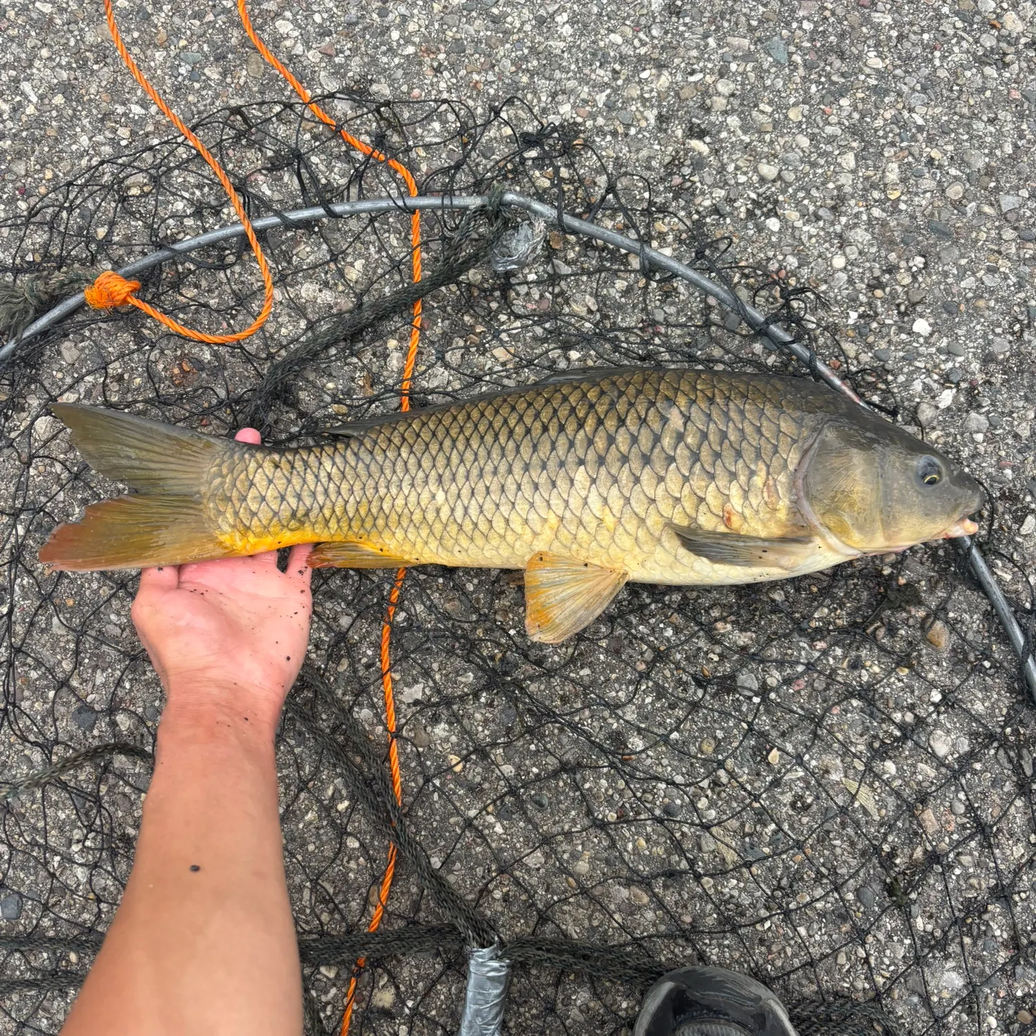 catch