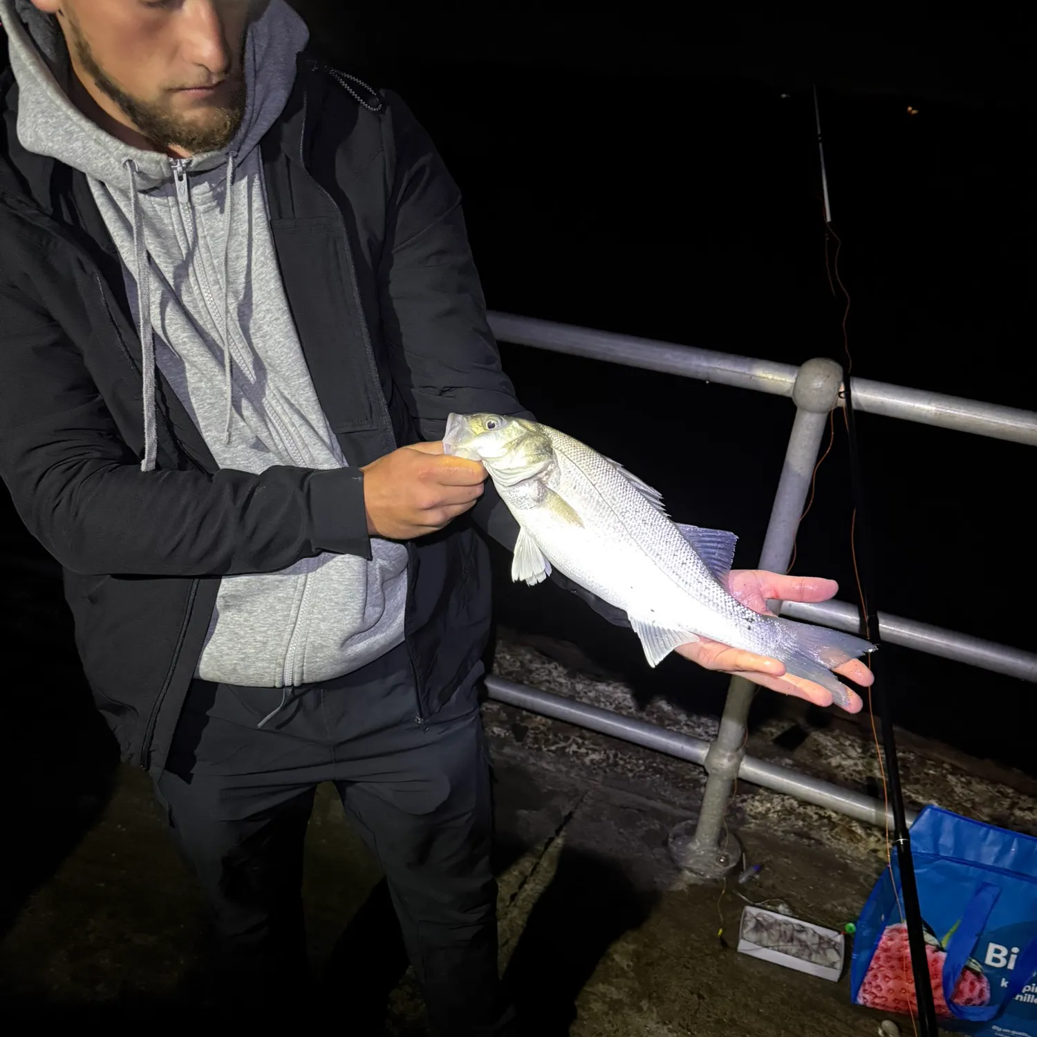 The most recent European seabass catches on Fishbrain