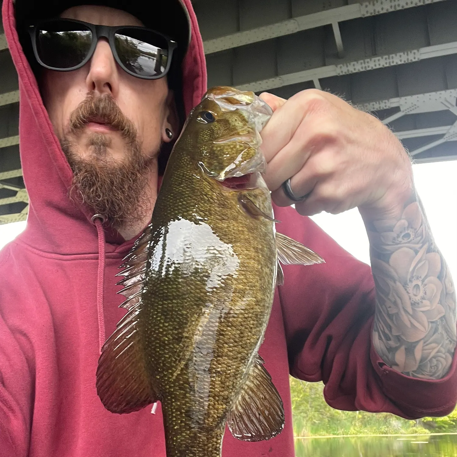 Smallmouth bass caught on Fishbrain