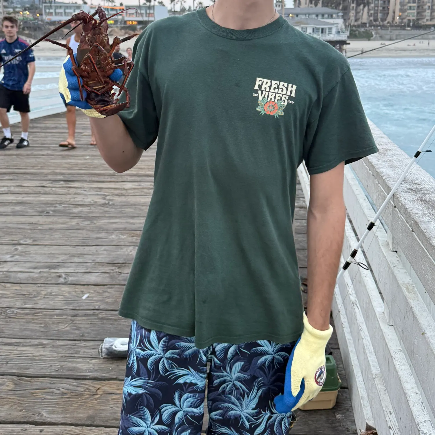 California spiny lobster caught on Fishbrain
