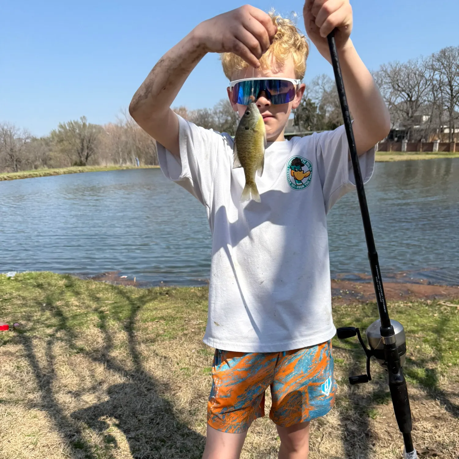 The most recent Magnolia crappie catches on Fishbrain