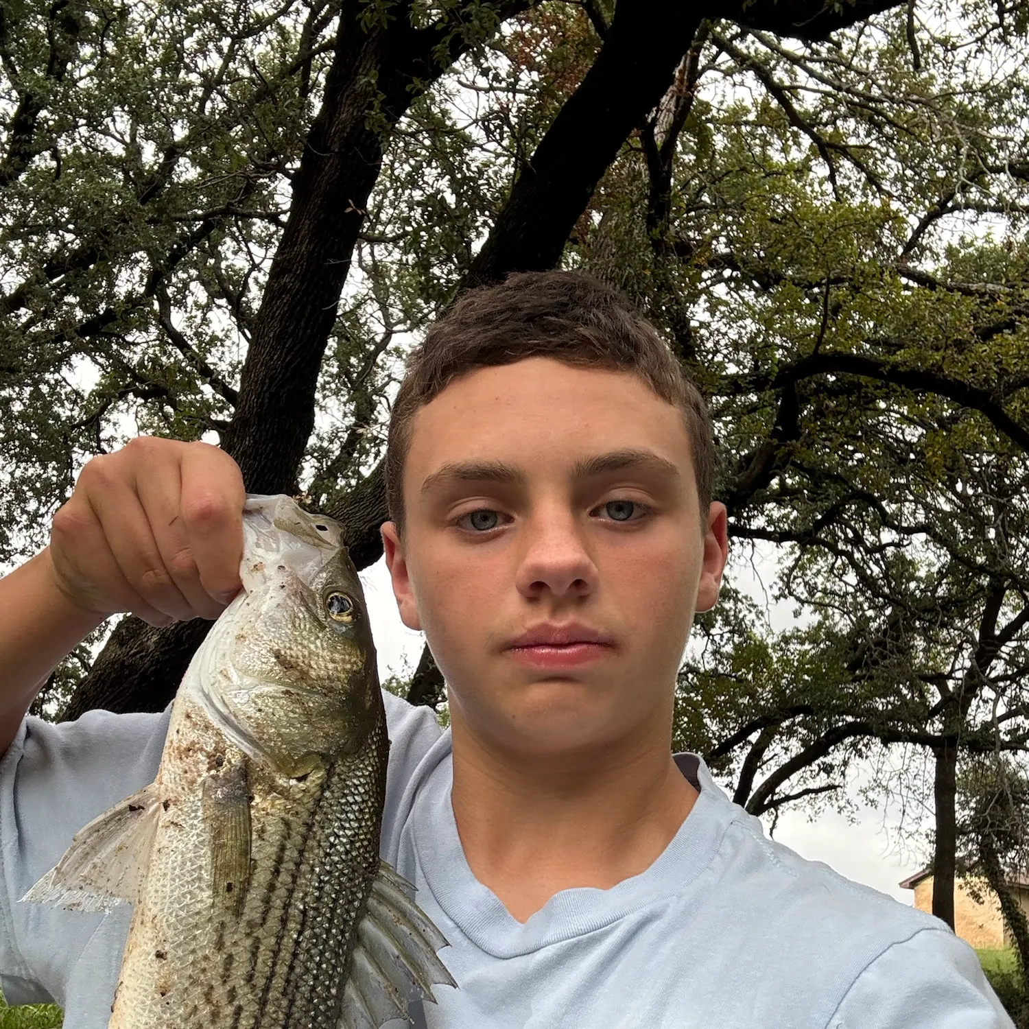Fish caught on Fishbrain