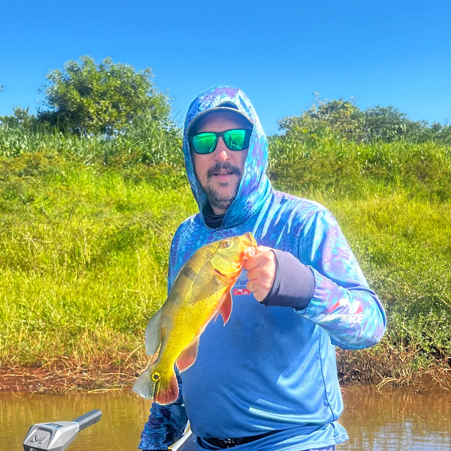 The most recent Kelberi peacock bass catches on Fishbrain