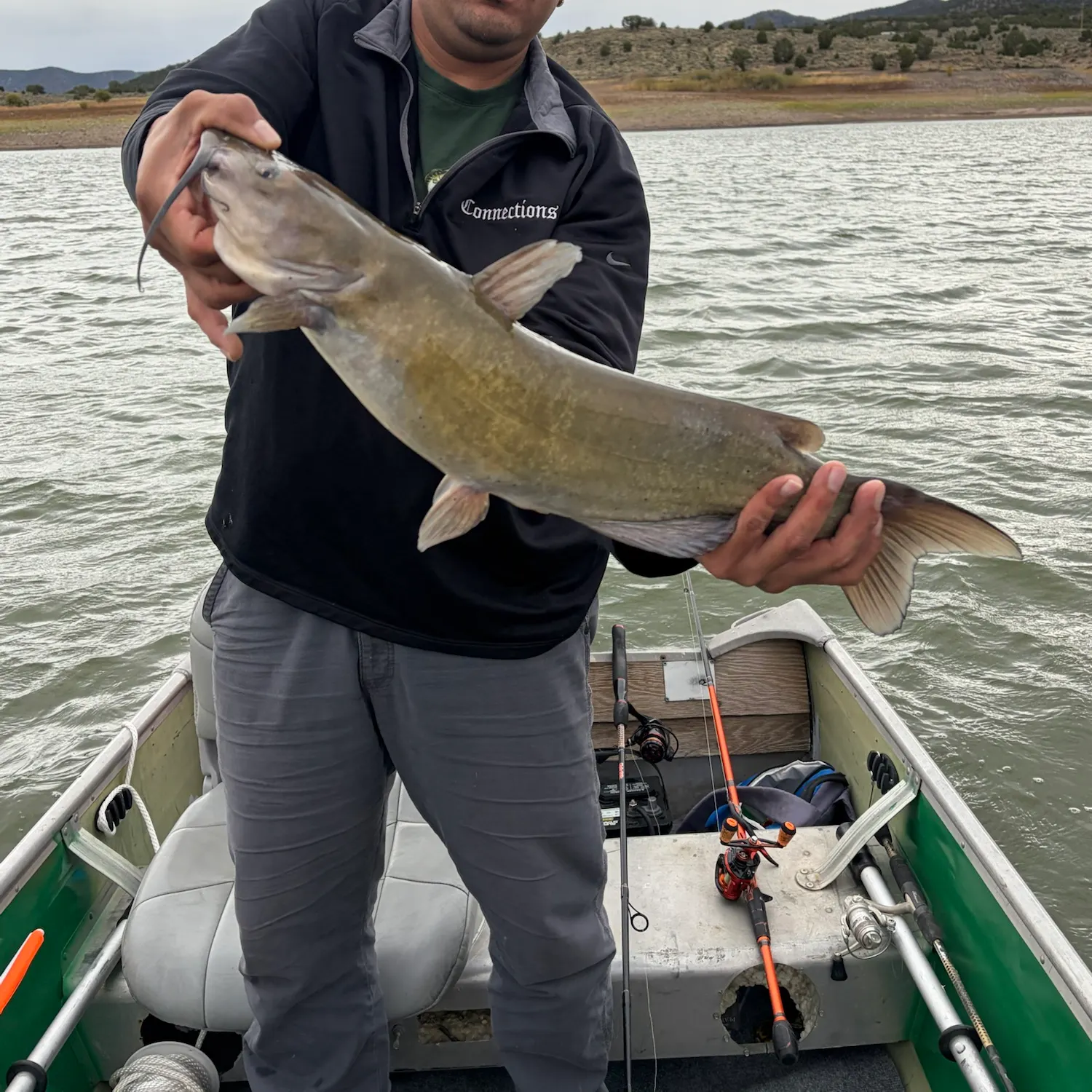 Channel catfish caught on Fishbrain