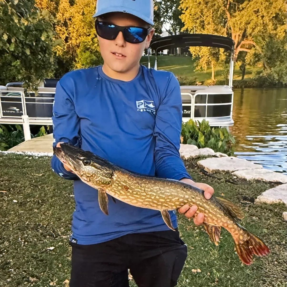 Northern pike caught on Fishbrain