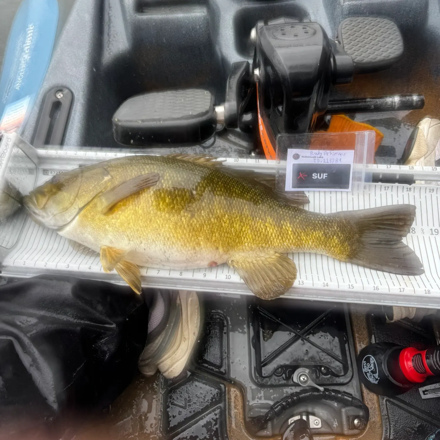 recently logged catches
