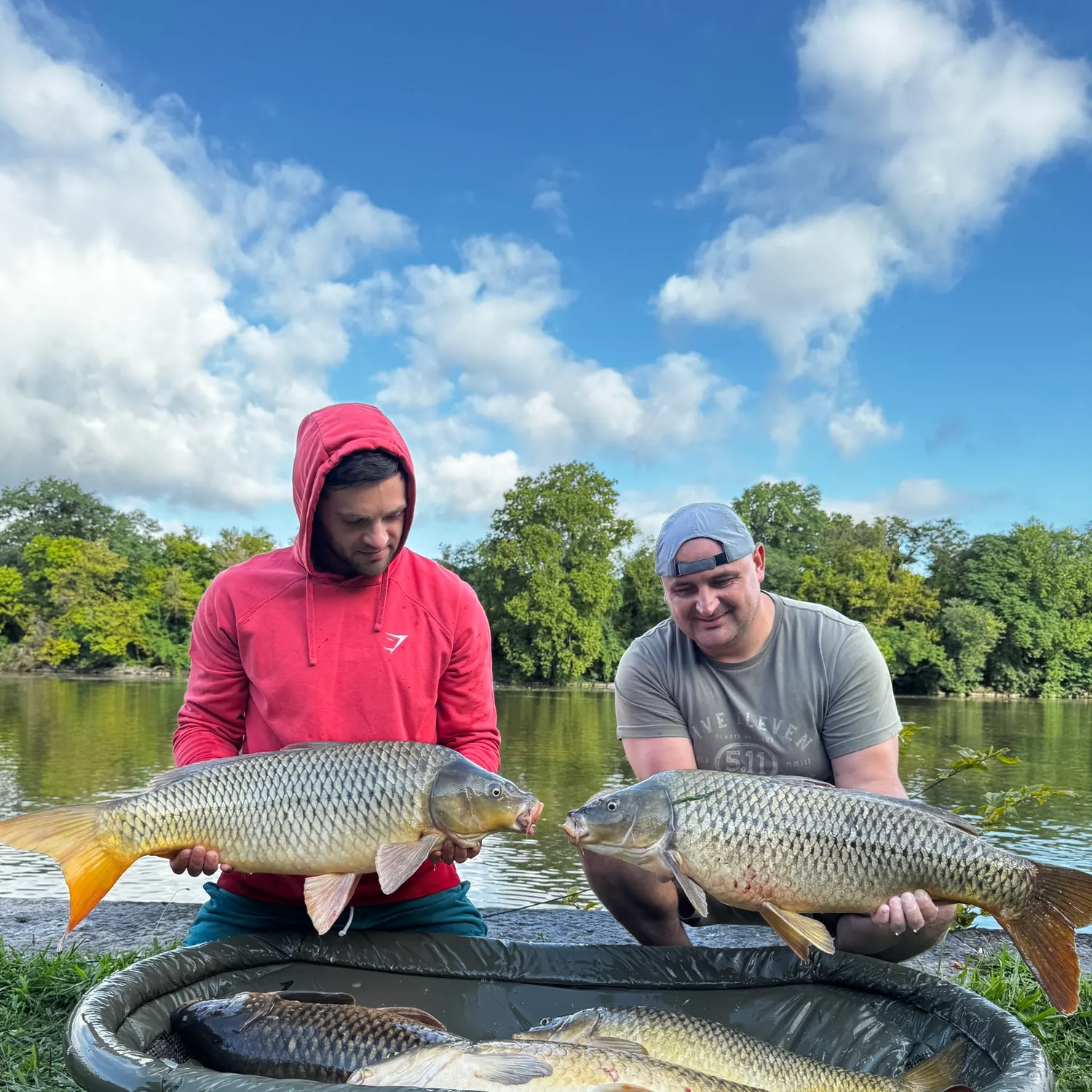 Common carp caught on Fishbrain