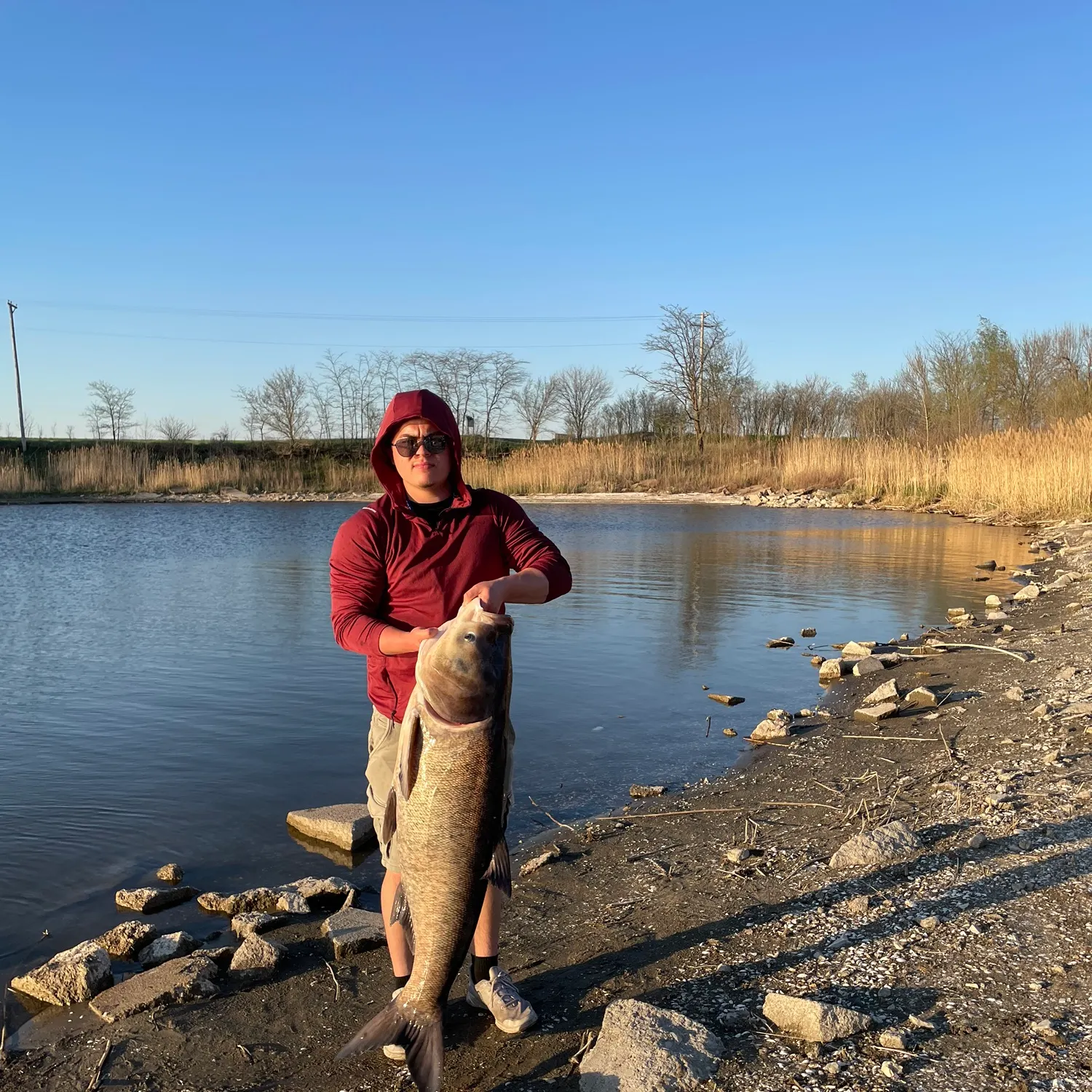 The most recent Bighead carp catches on Fishbrain