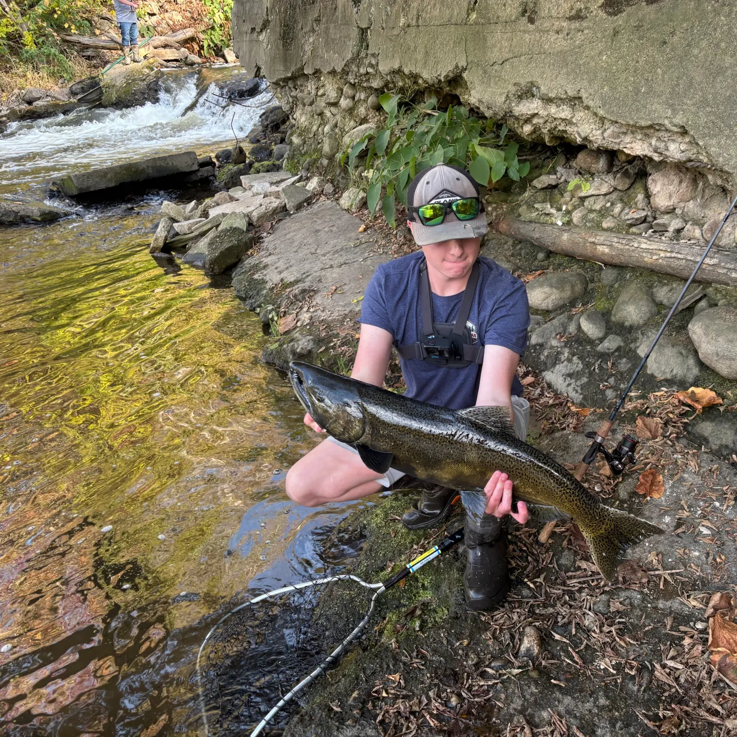 Chinook salmon caught on Fishbrain