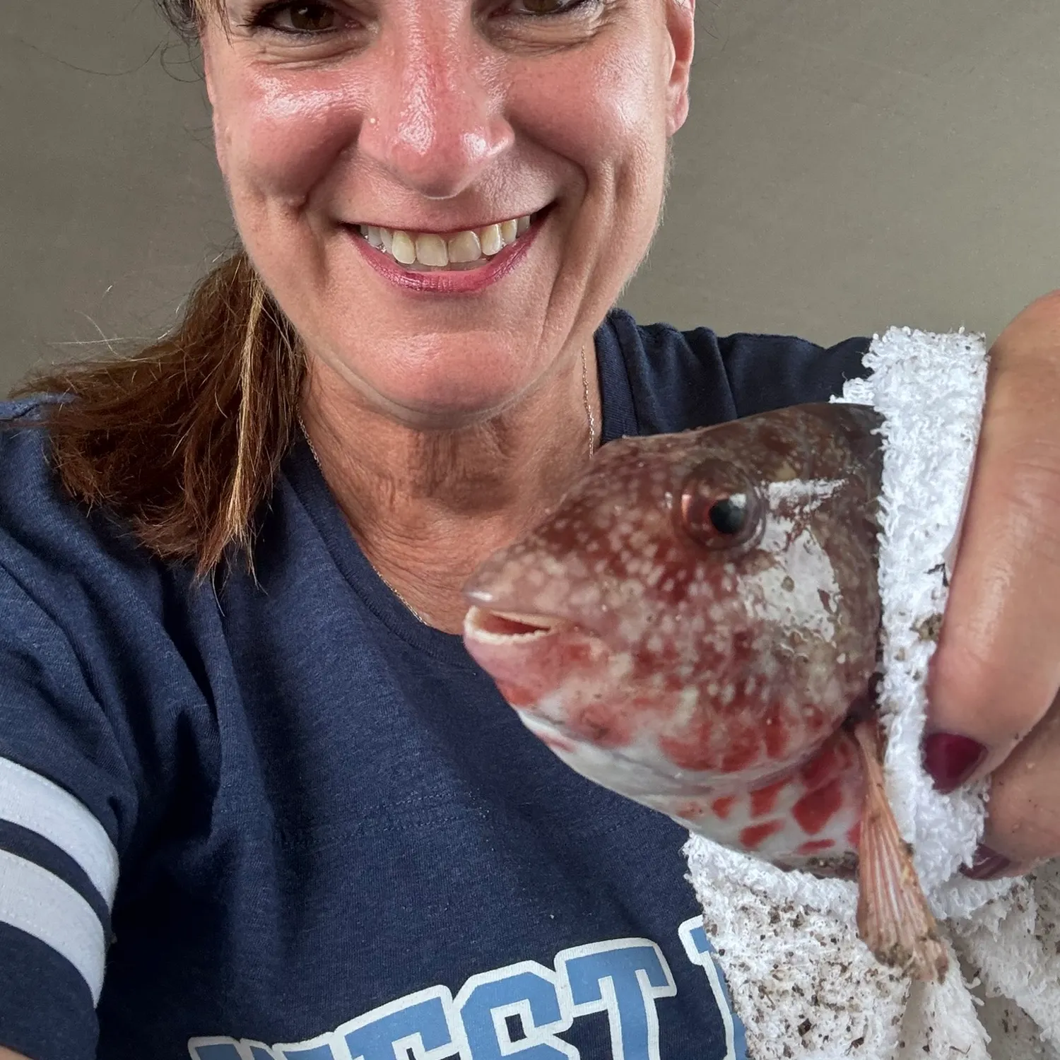 The most recent Japanese parrotfish catches on Fishbrain