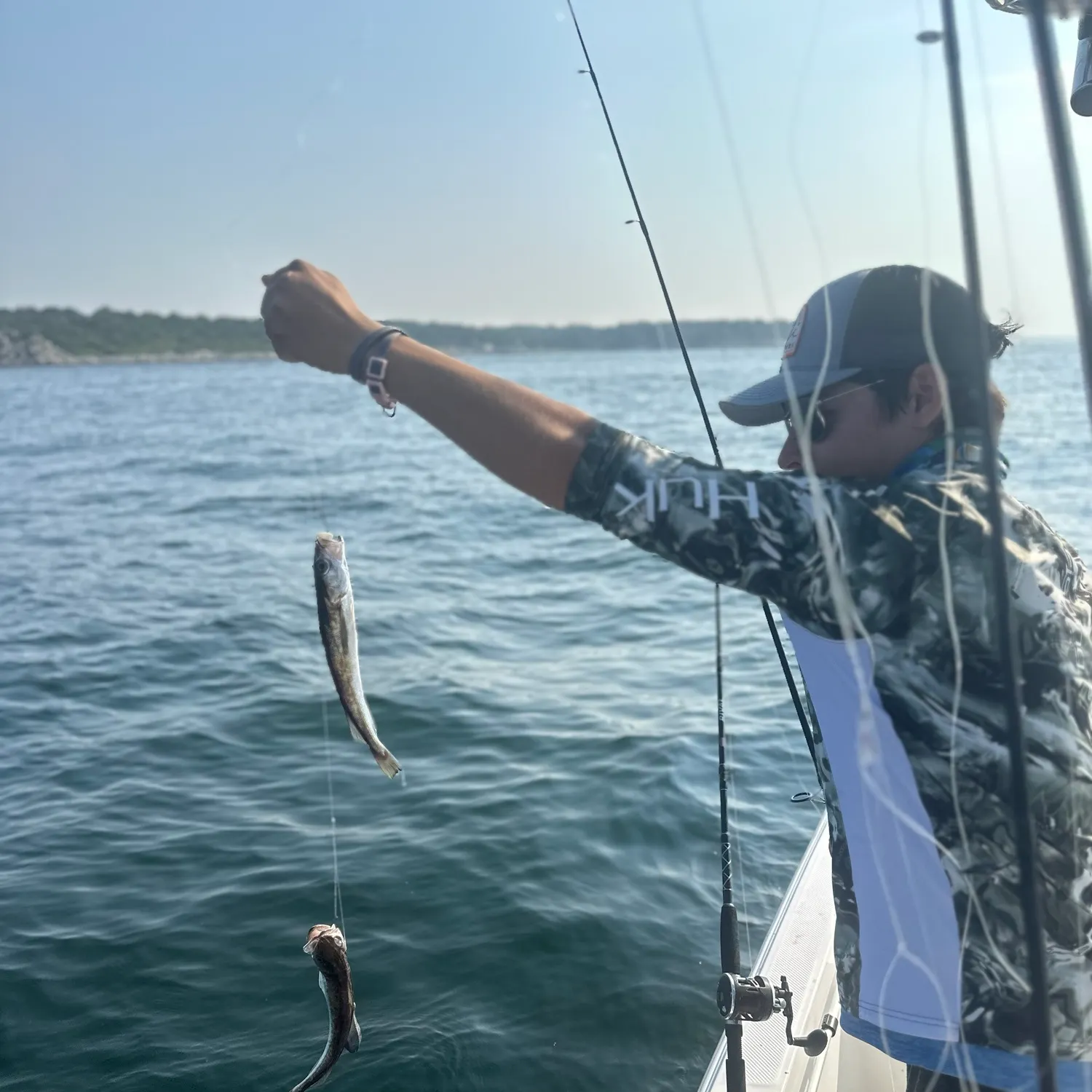 The most recent Silver hake catches on Fishbrain