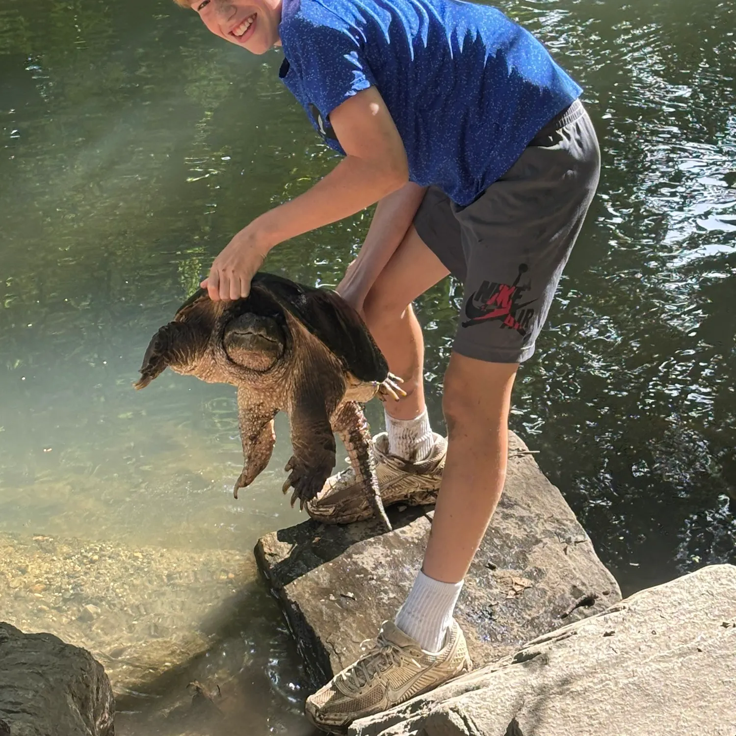 Common snapping turtle caught on Fishbrain