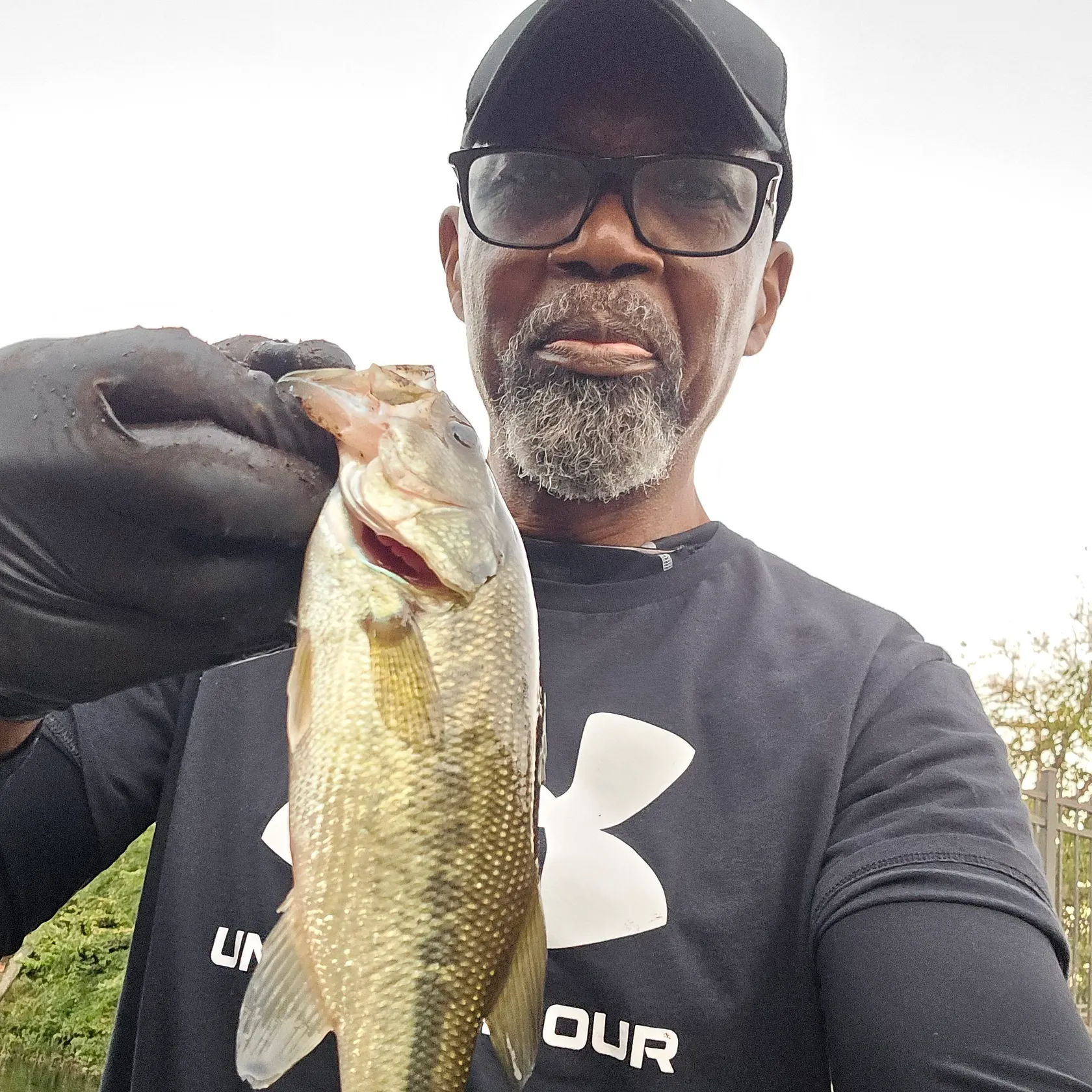 Fish caught on Fishbrain