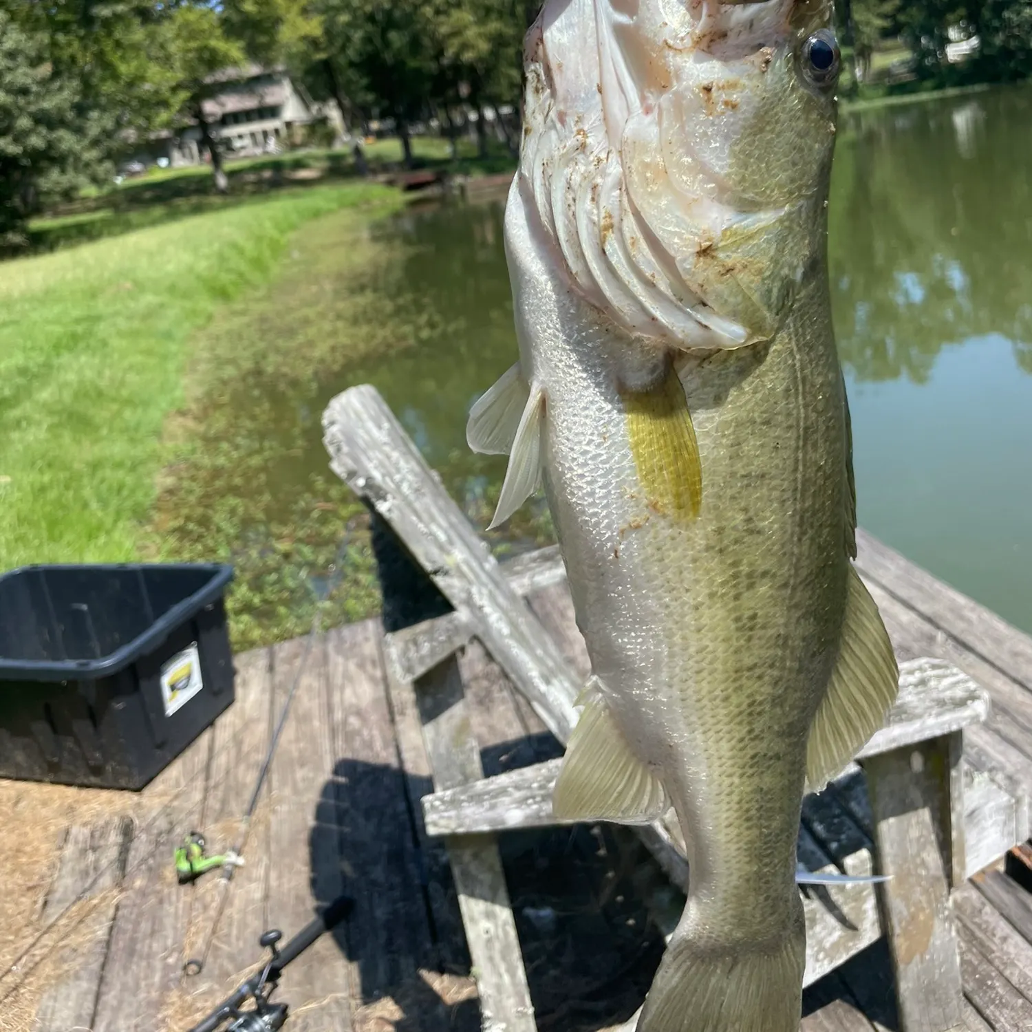 angler catch