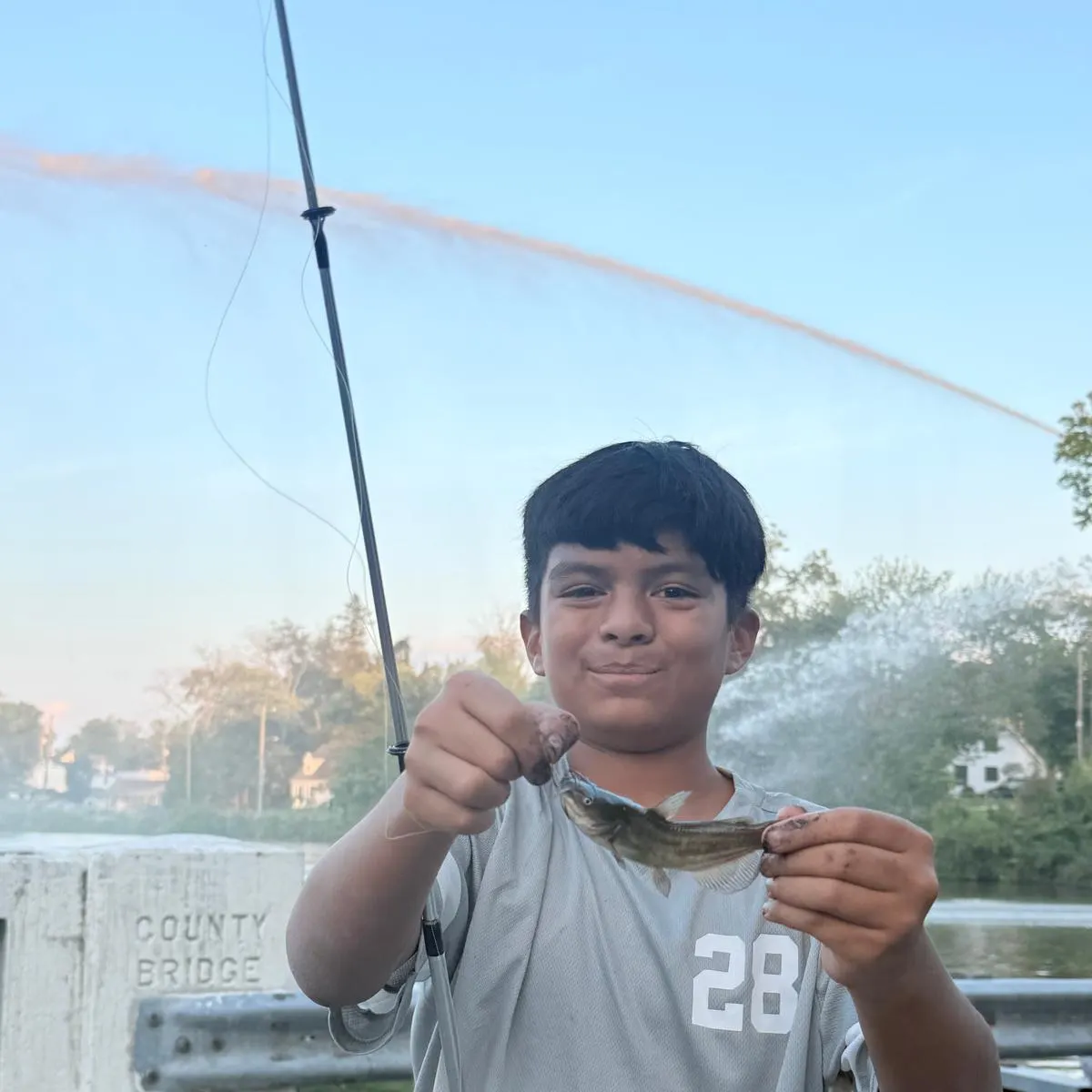 Brown bullhead caught on Fishbrain