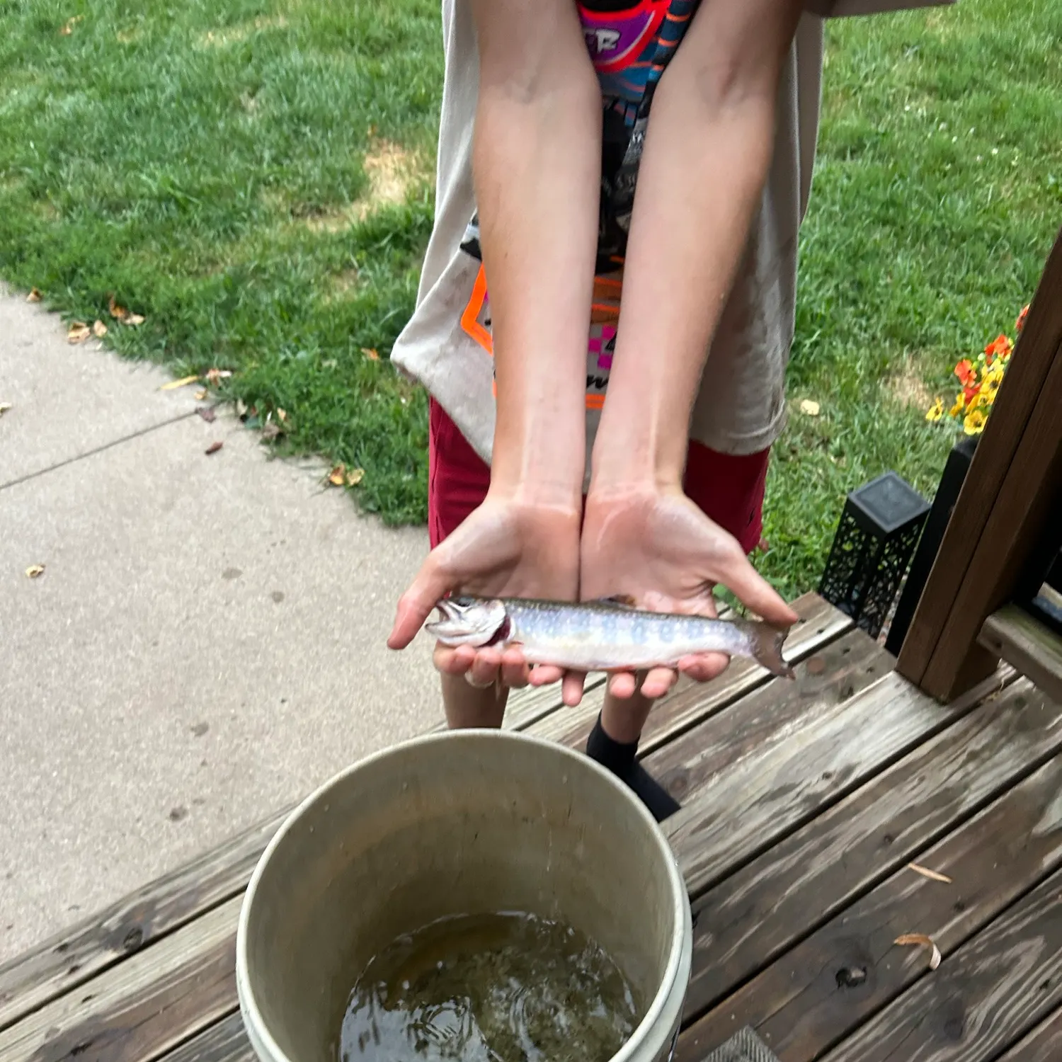 Fish caught on Fishbrain