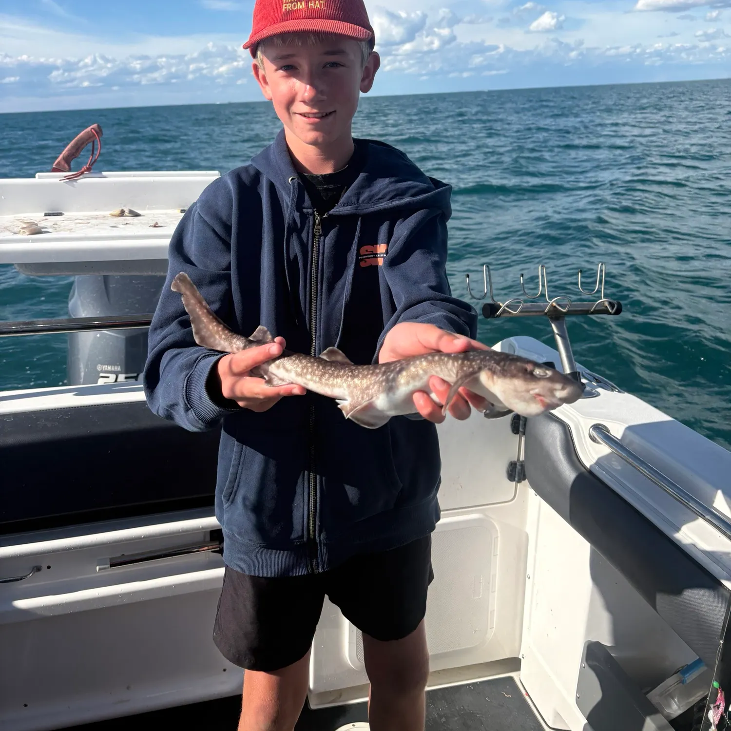 Broadnose sevengill shark caught on Fishbrain