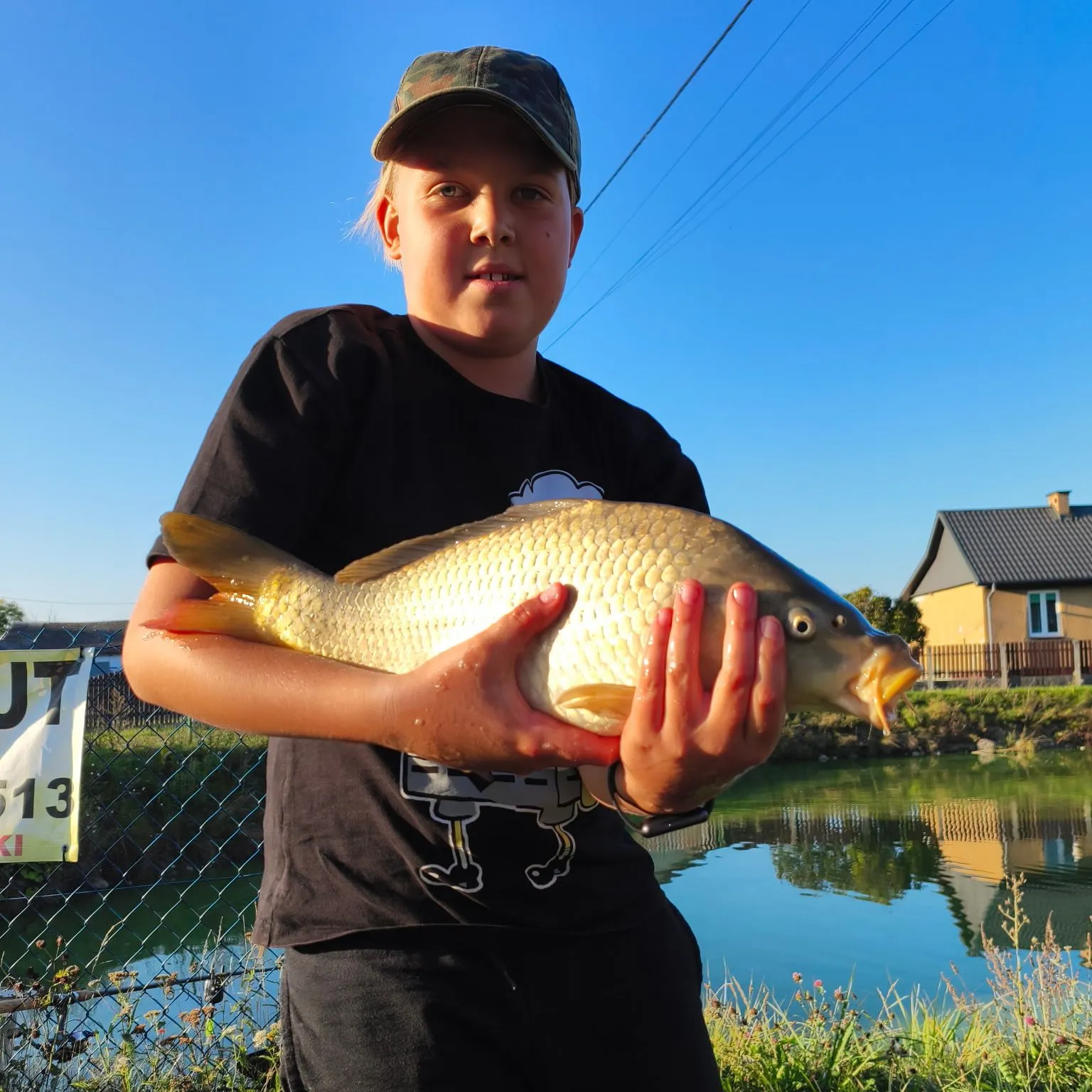 Common carp caught on Fishbrain