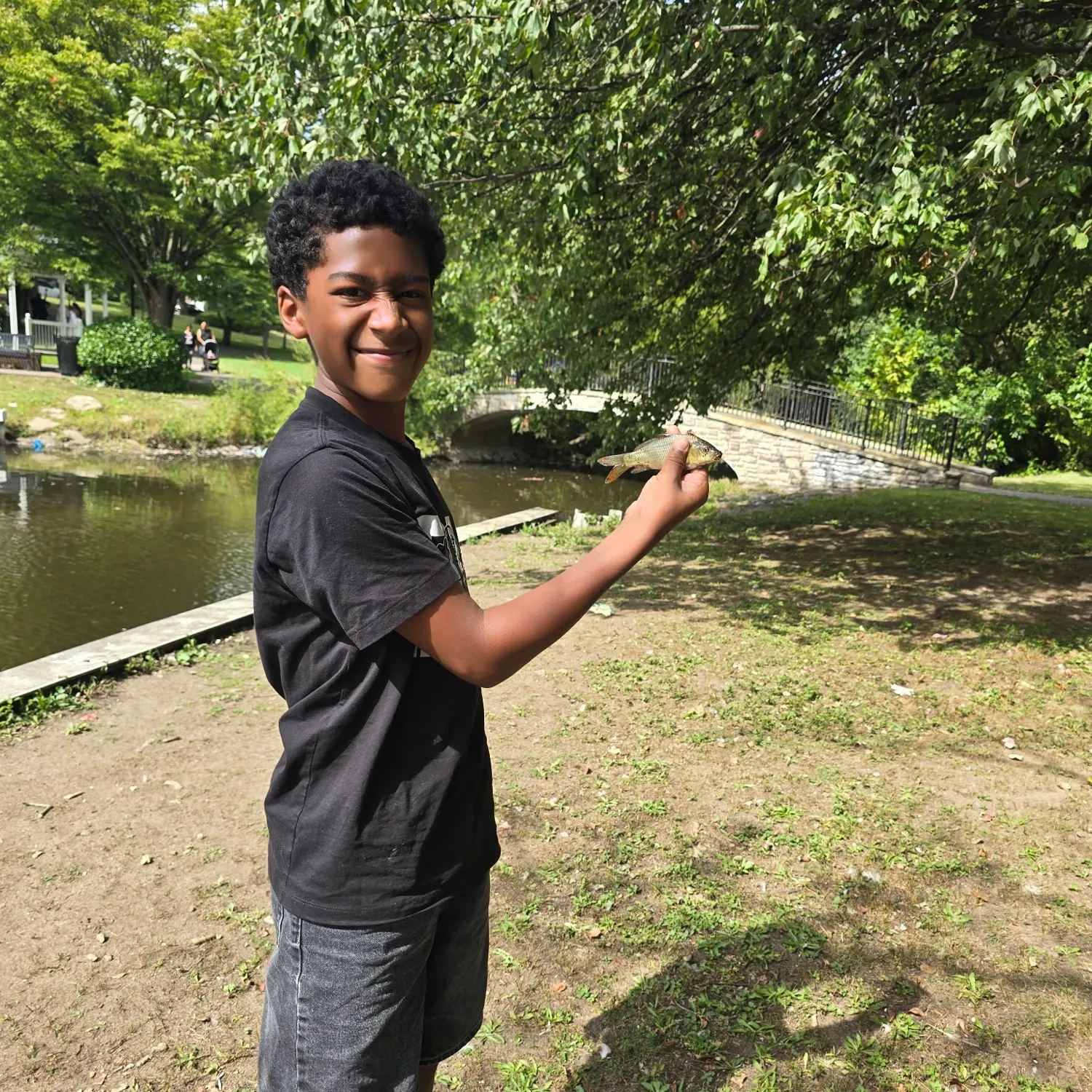 Common carp caught on Fishbrain