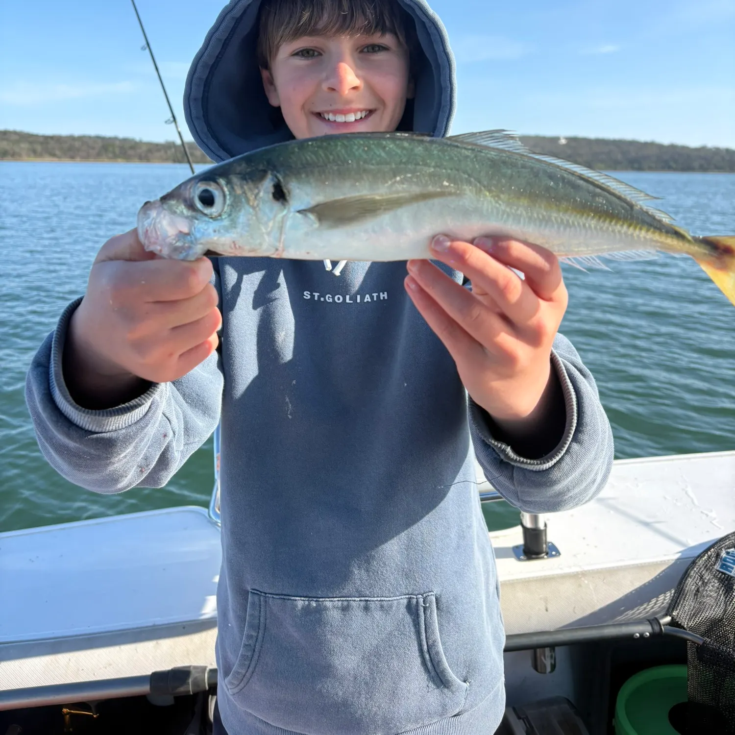 Yellowtail scad caught on Fishbrain